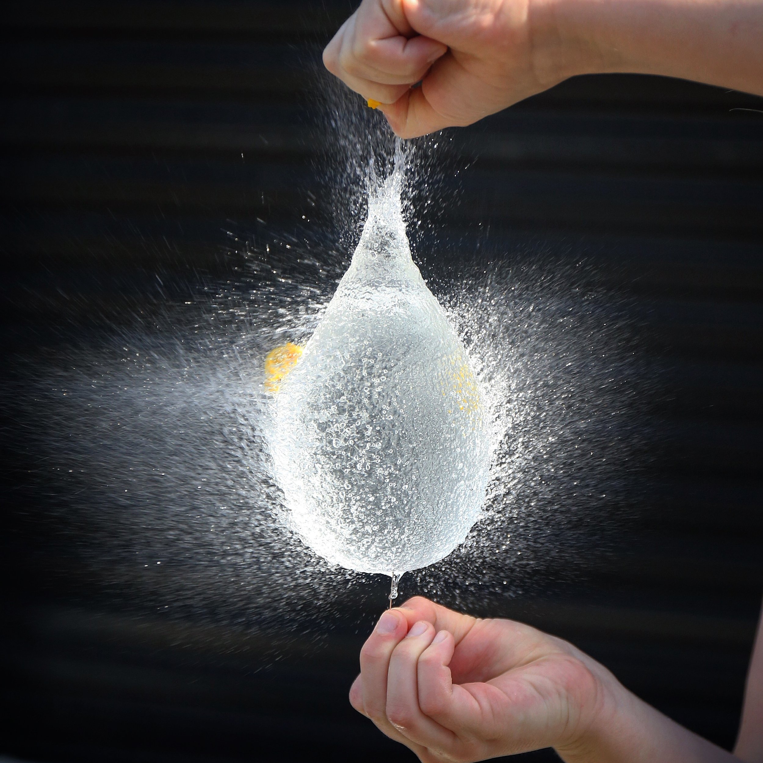 fast shutter speeds.JPG