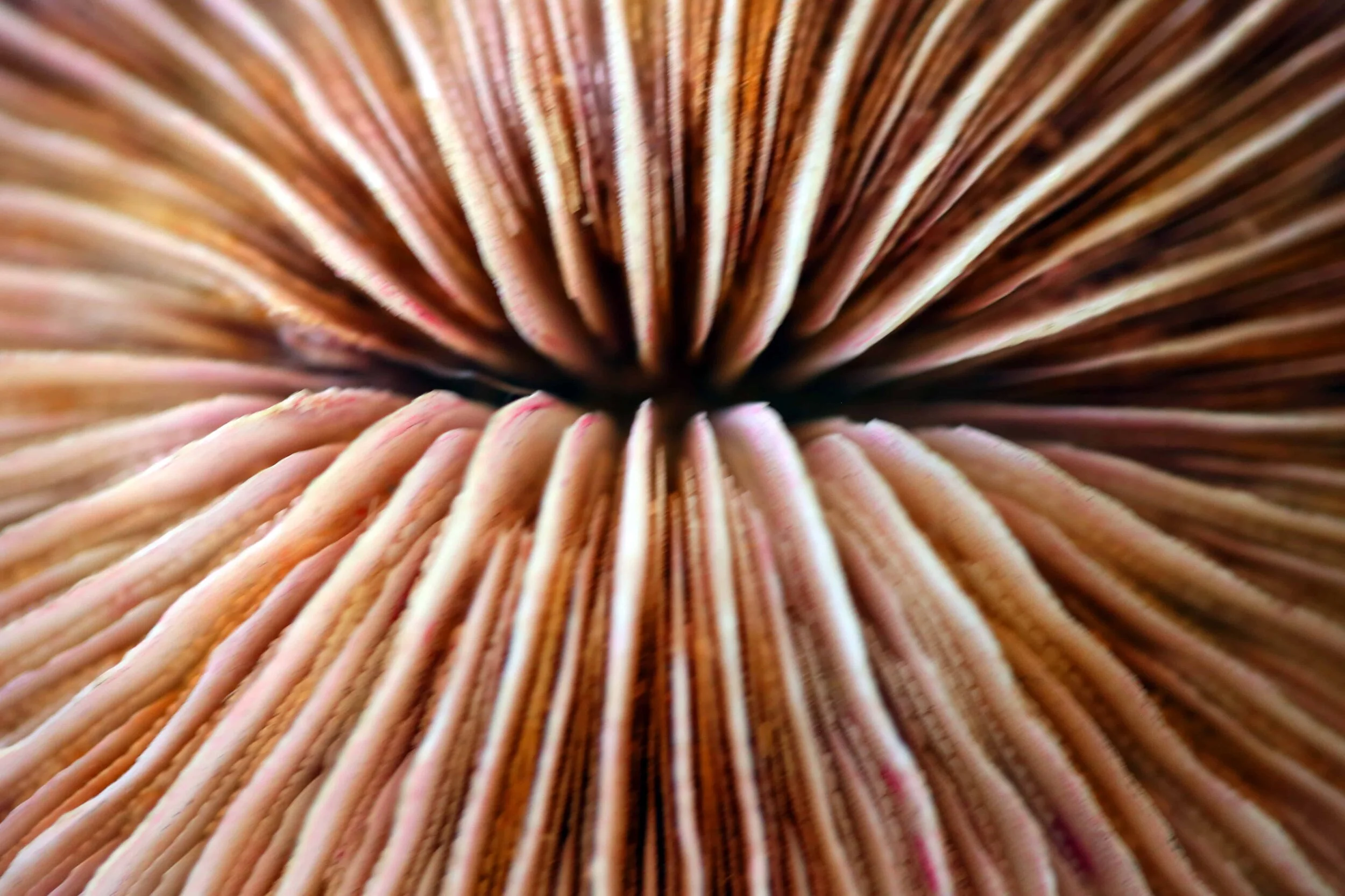 Gallery of Student Work — Spitting Image Photography