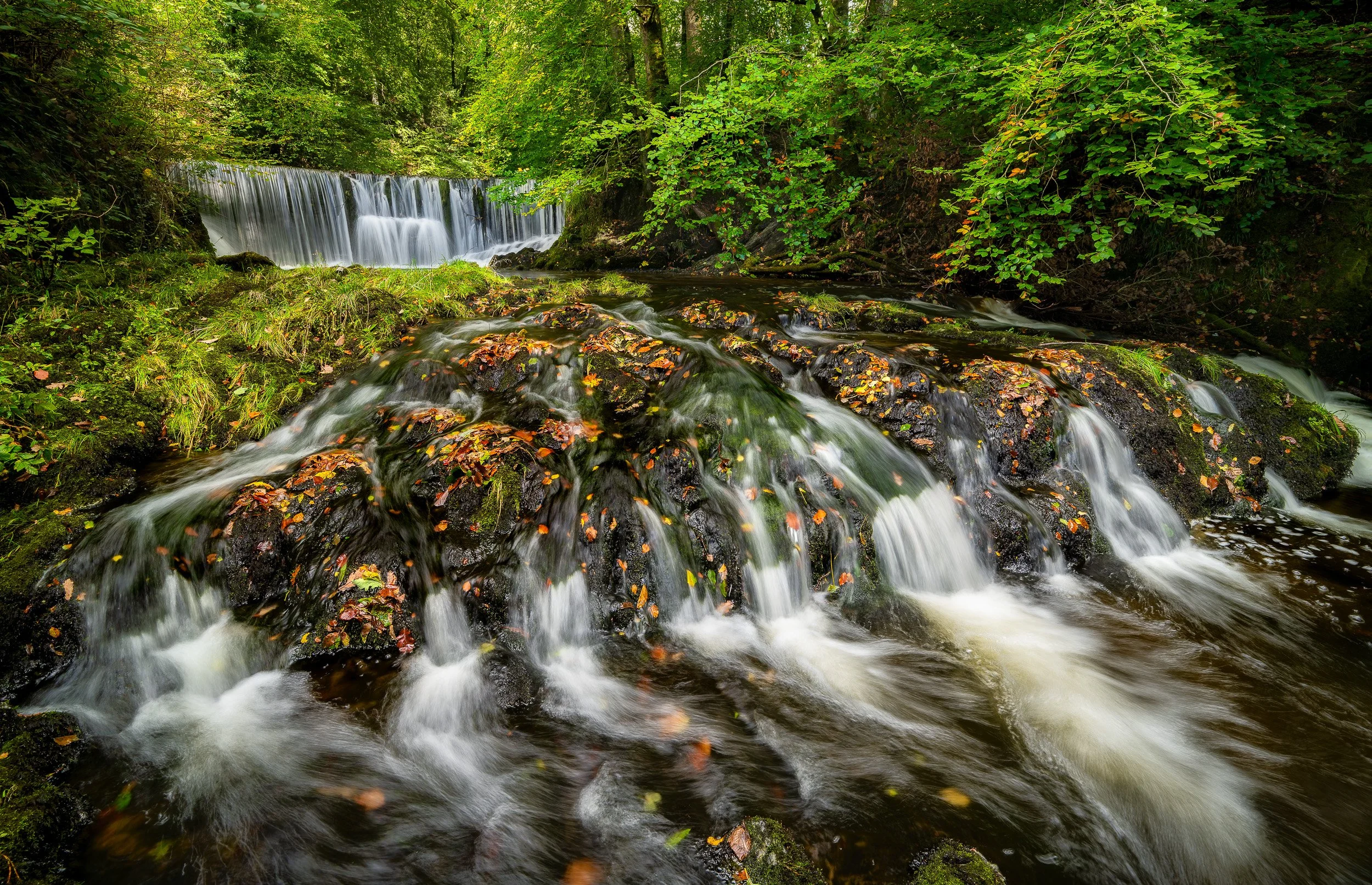 stock ghyll-3-DxO_DeepPRIME XD2s-Edit.jpg