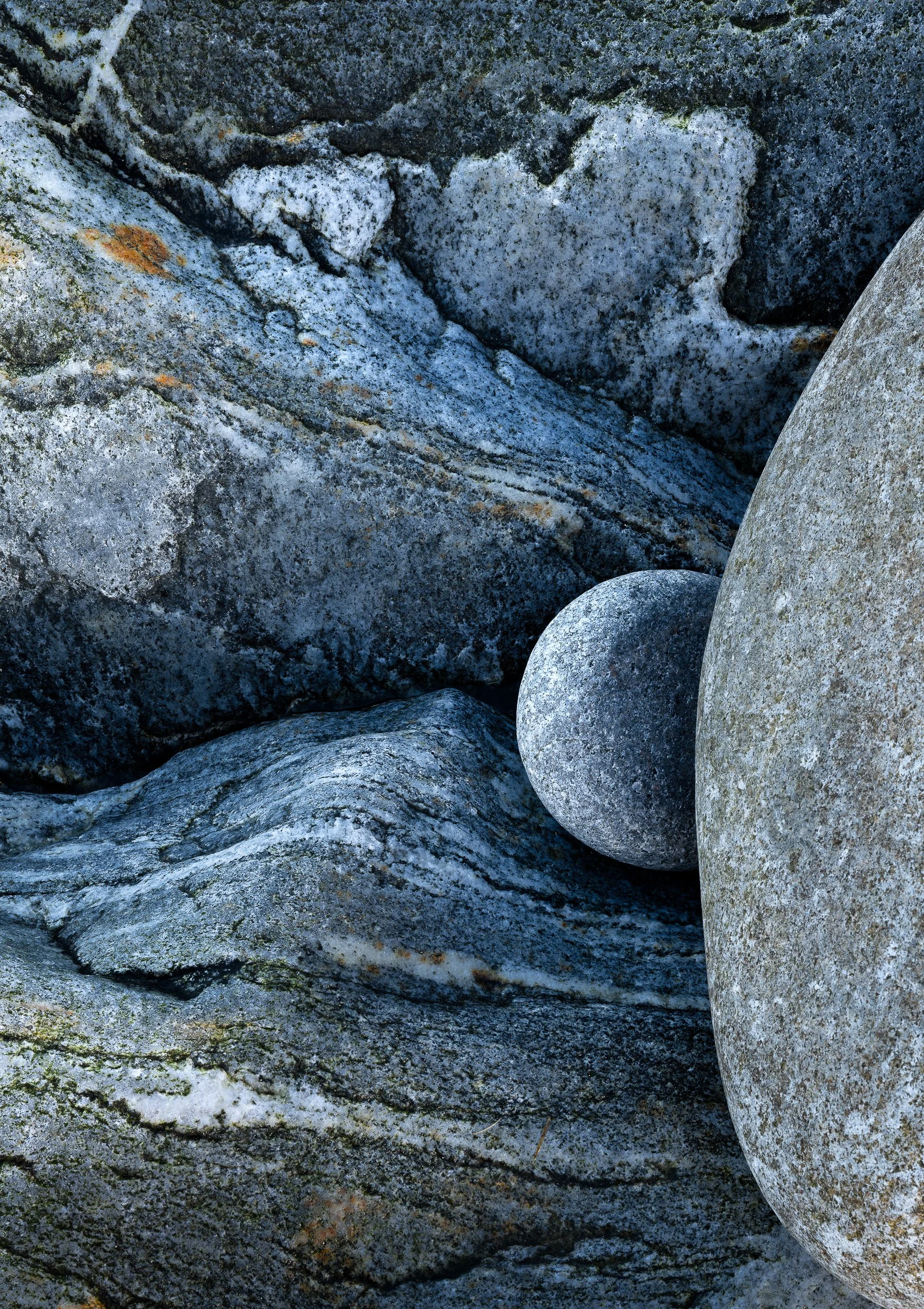 harris day 5-178-DxO_DeepPRIME XD2s-Edit.jpg