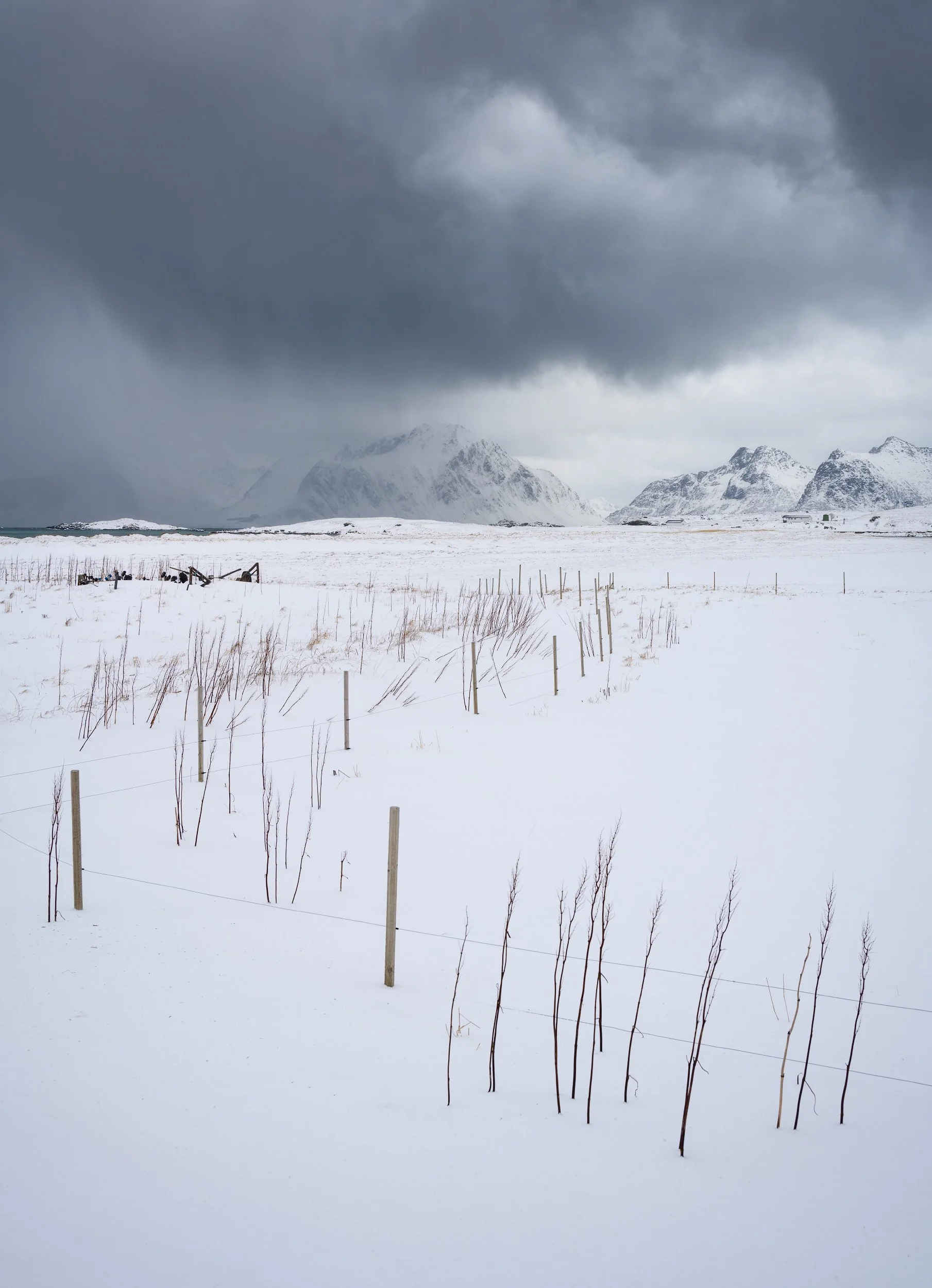 The cloud_1809x2500_U_150_Long Edge.jpg