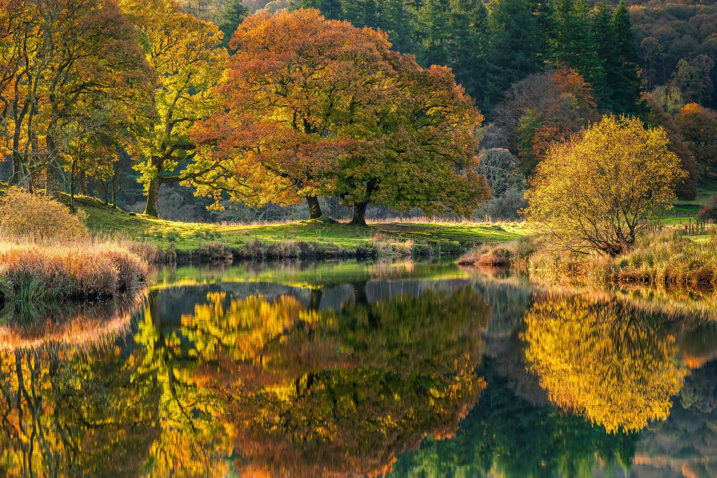 Brathay colour_2500x1667_U_140_Long Edge.jpg
