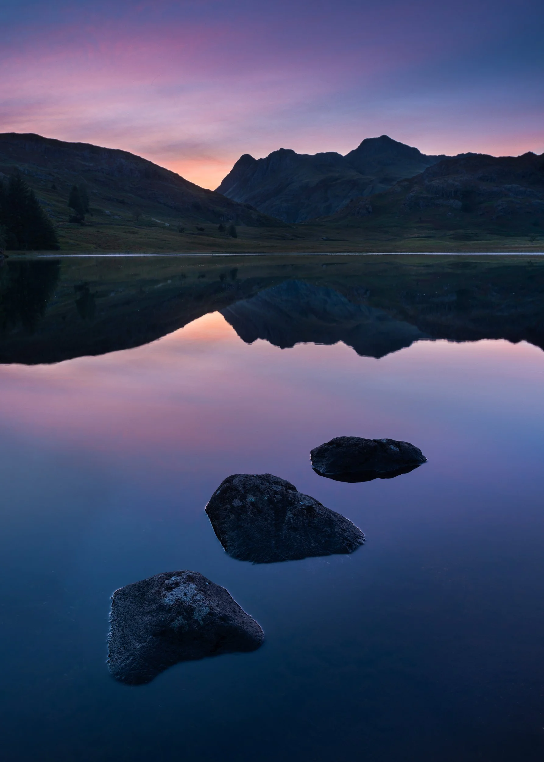 blea dusk.jpg
