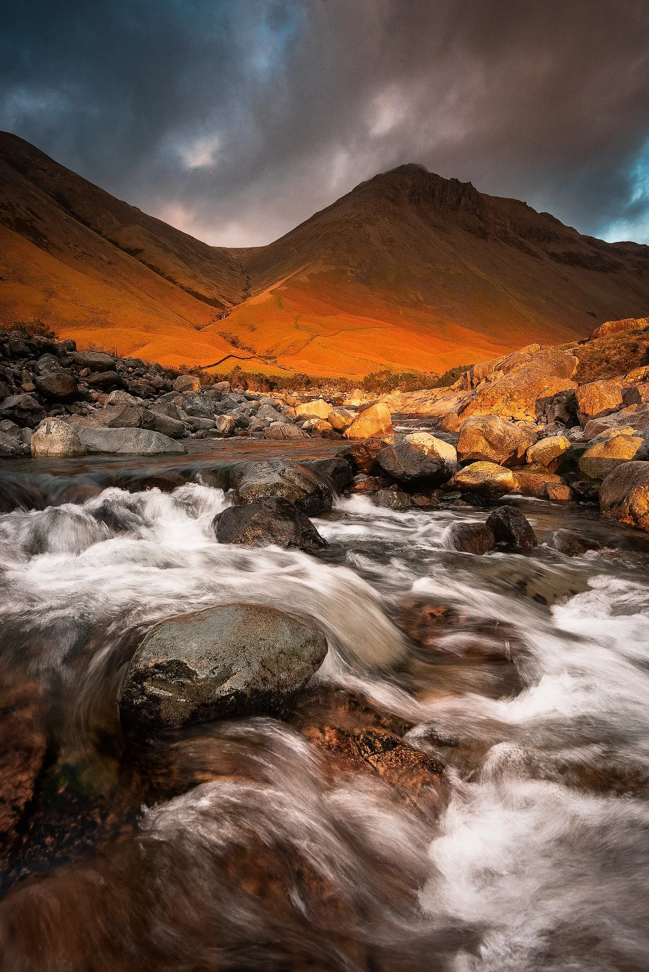 Red beck print_Long Edge_1335x2000_U_200.jpg