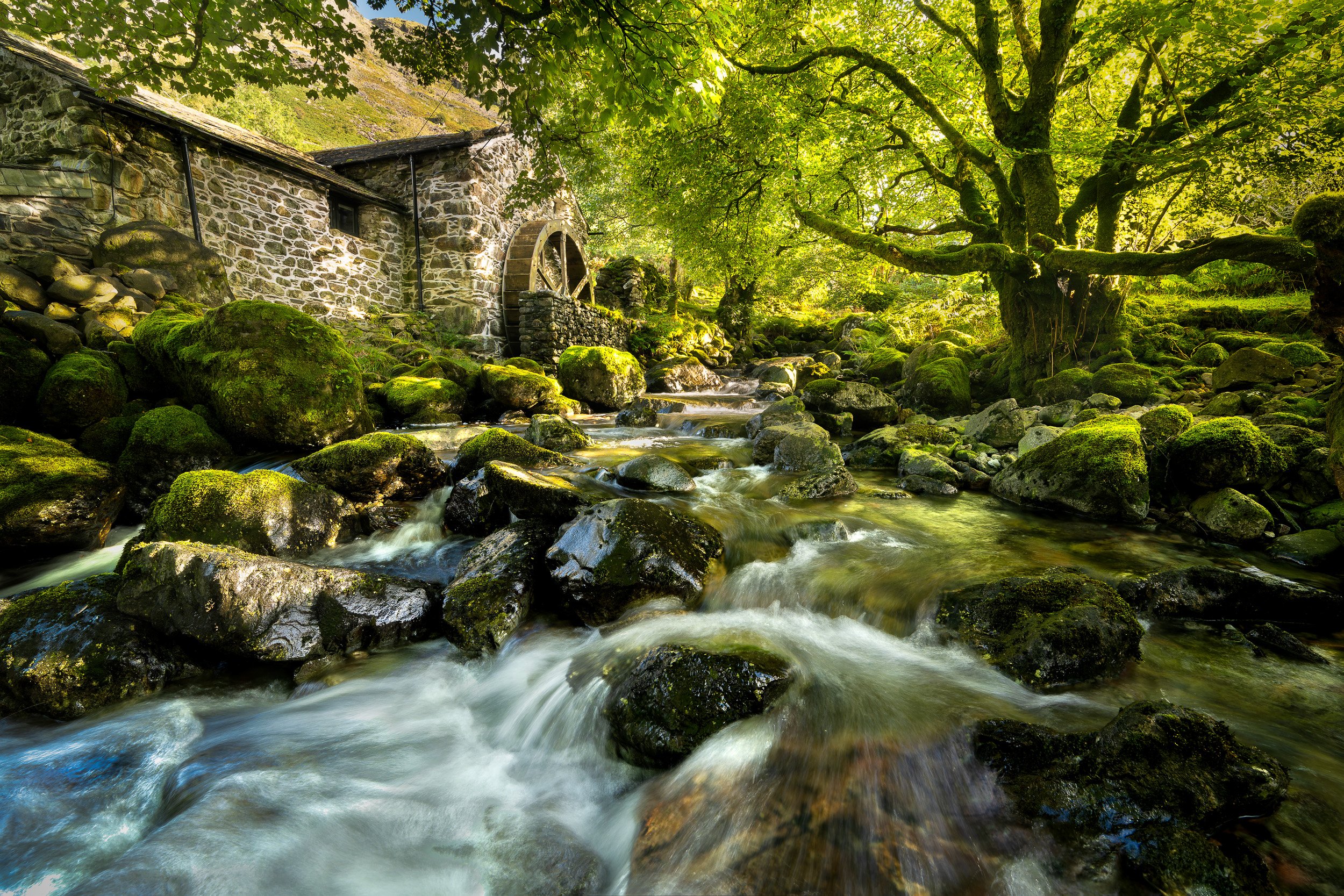 The Mill landscape-2.jpg