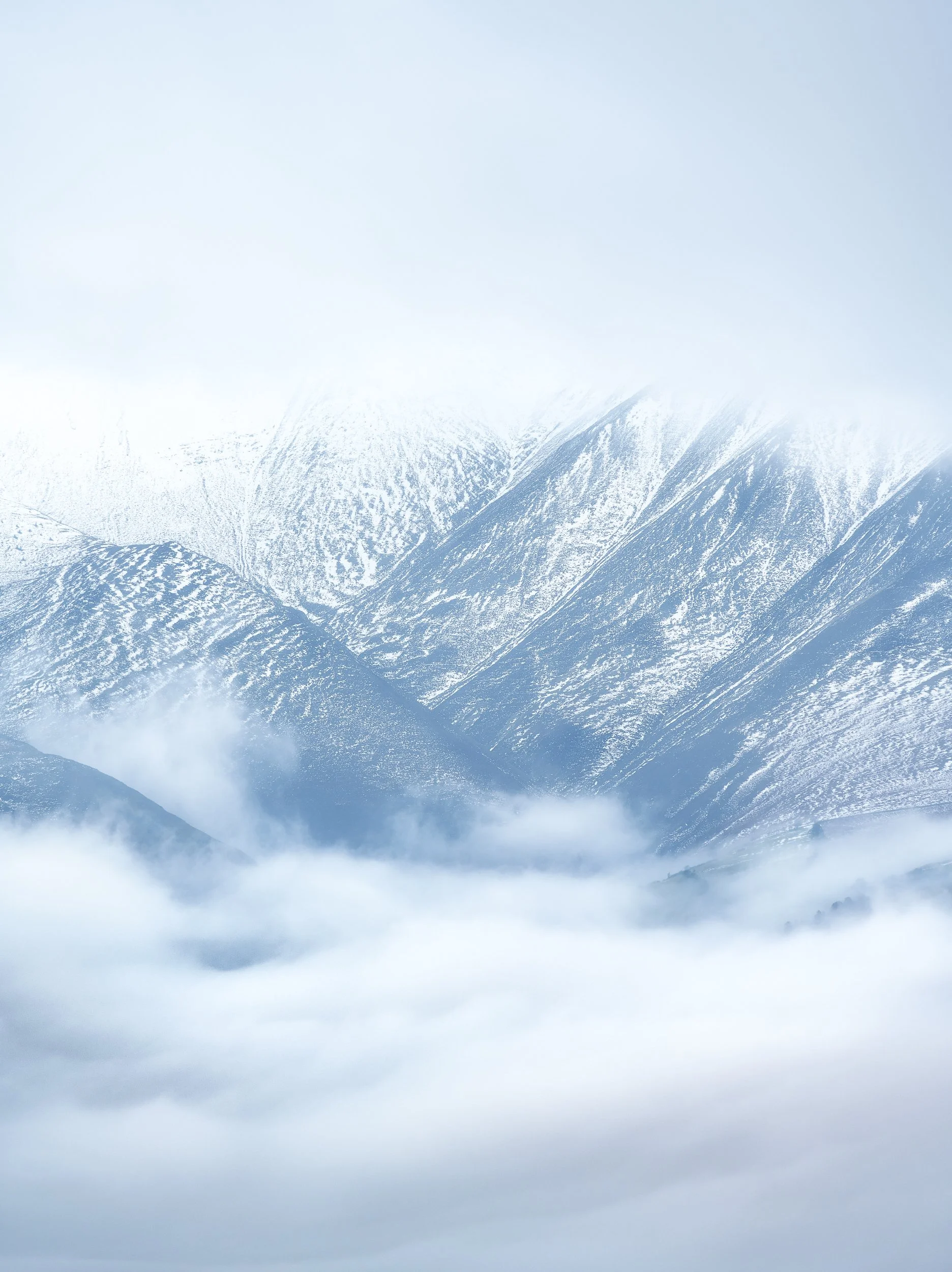 reveal_1872x2500_U_150_Long Edge.jpg