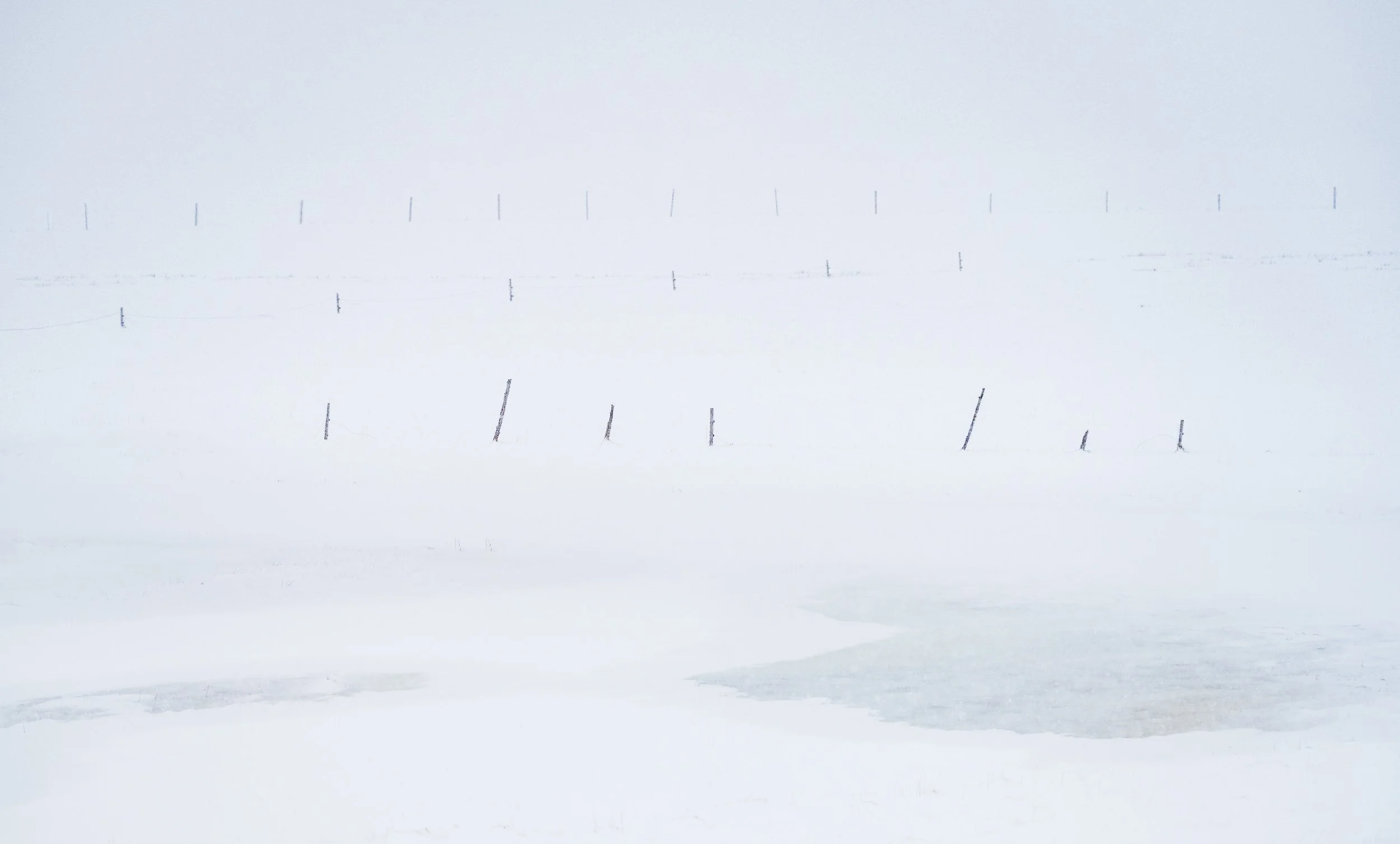 Fences_Long Edge_2500x1507_U_120_Lofoten 23.jpg