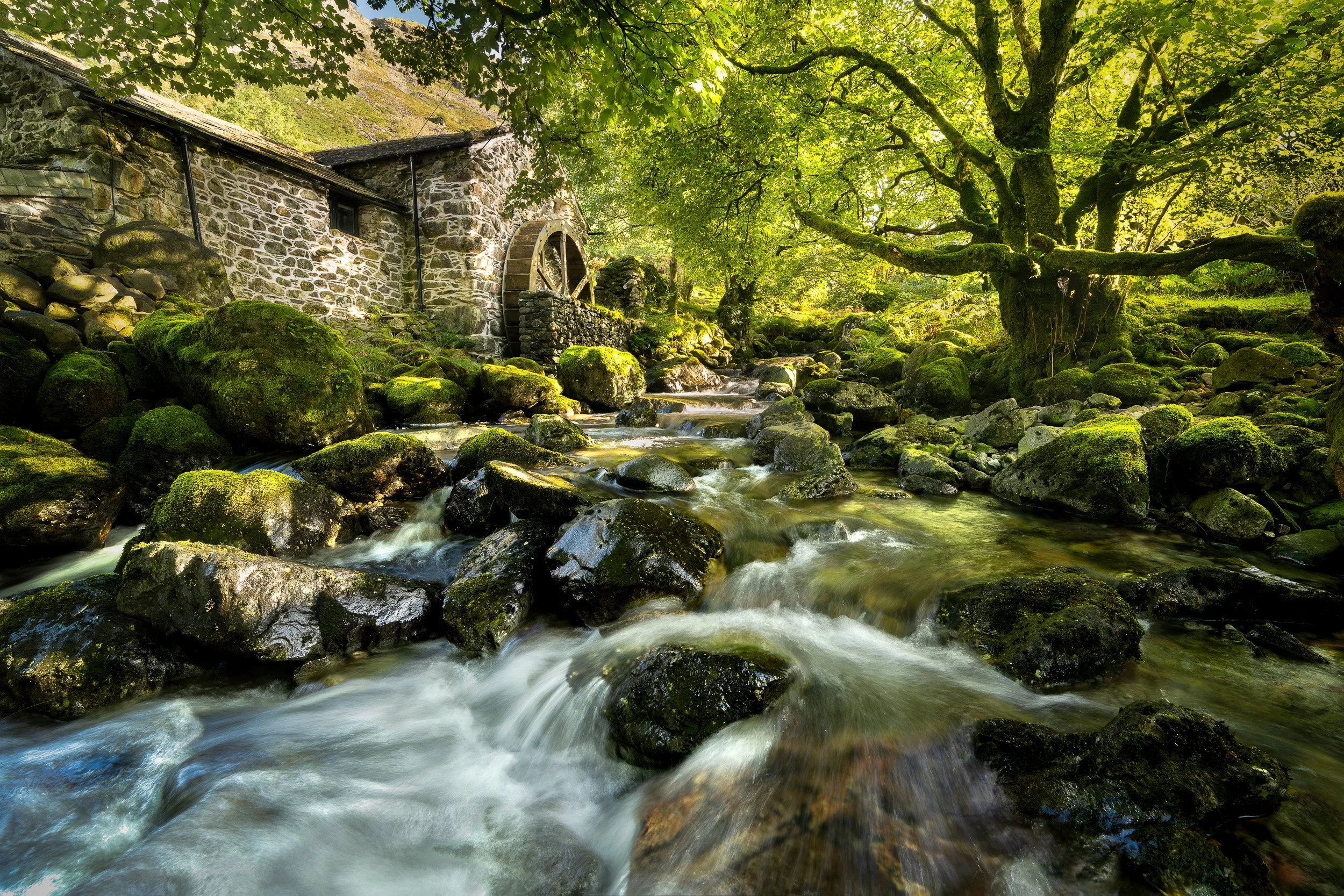 The Mill landscape.jpg