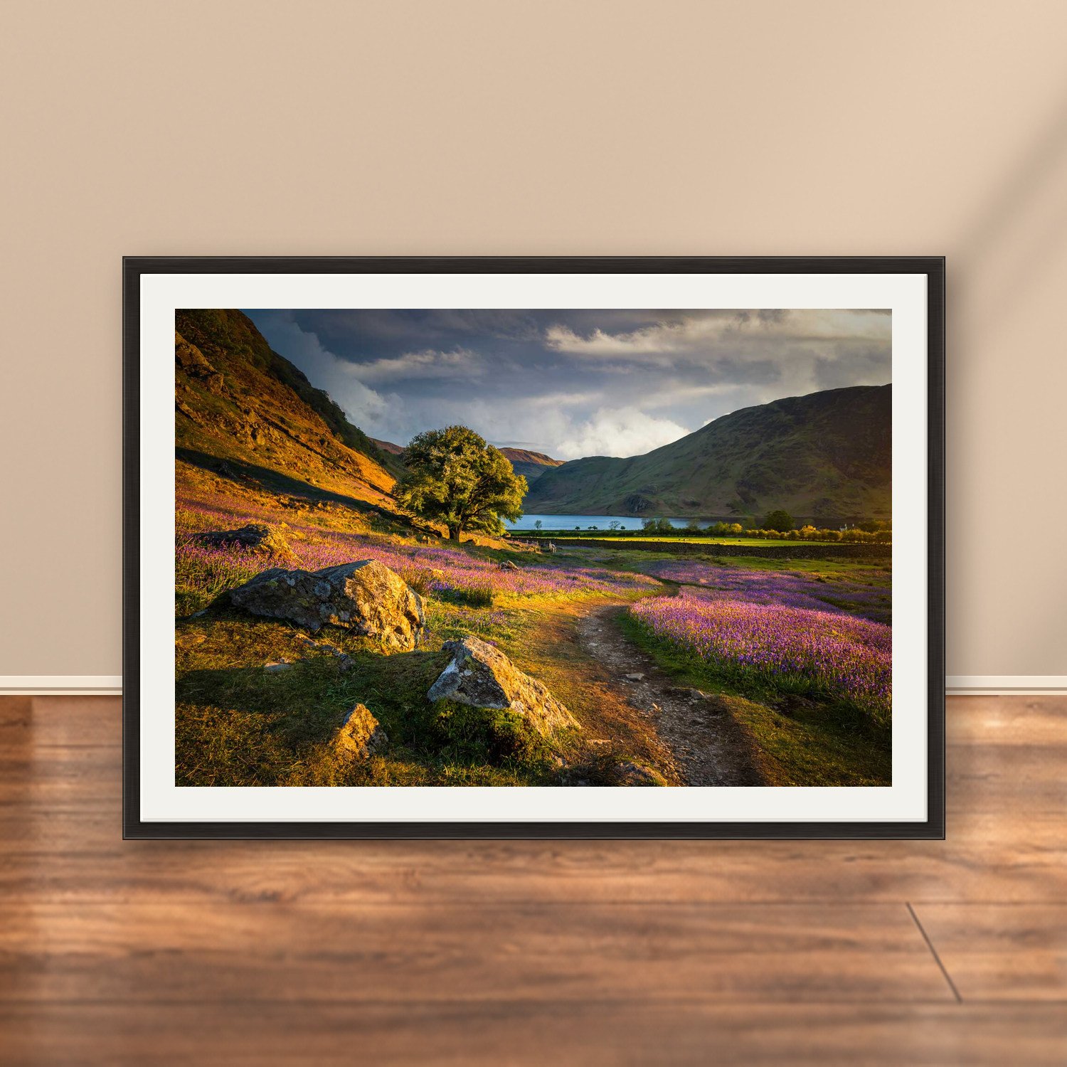 The Rannerdale Bluebells