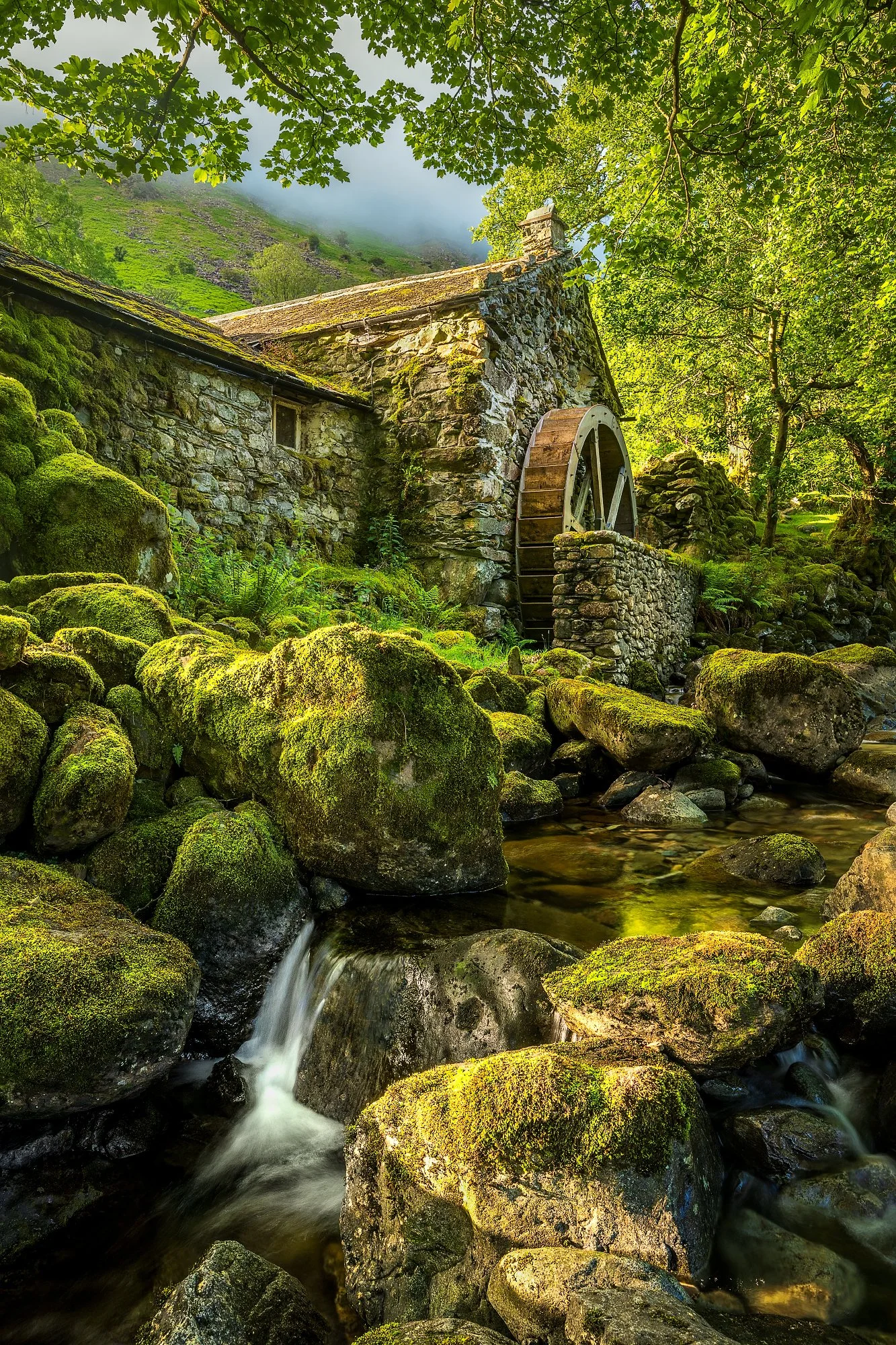 the mill portrait-Edit_Long Edge_1333x2000_U_200.jpg