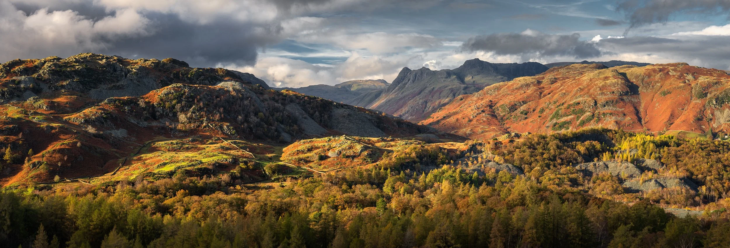 Holme Fell & The Langdales in Spring - Saturday 16th May