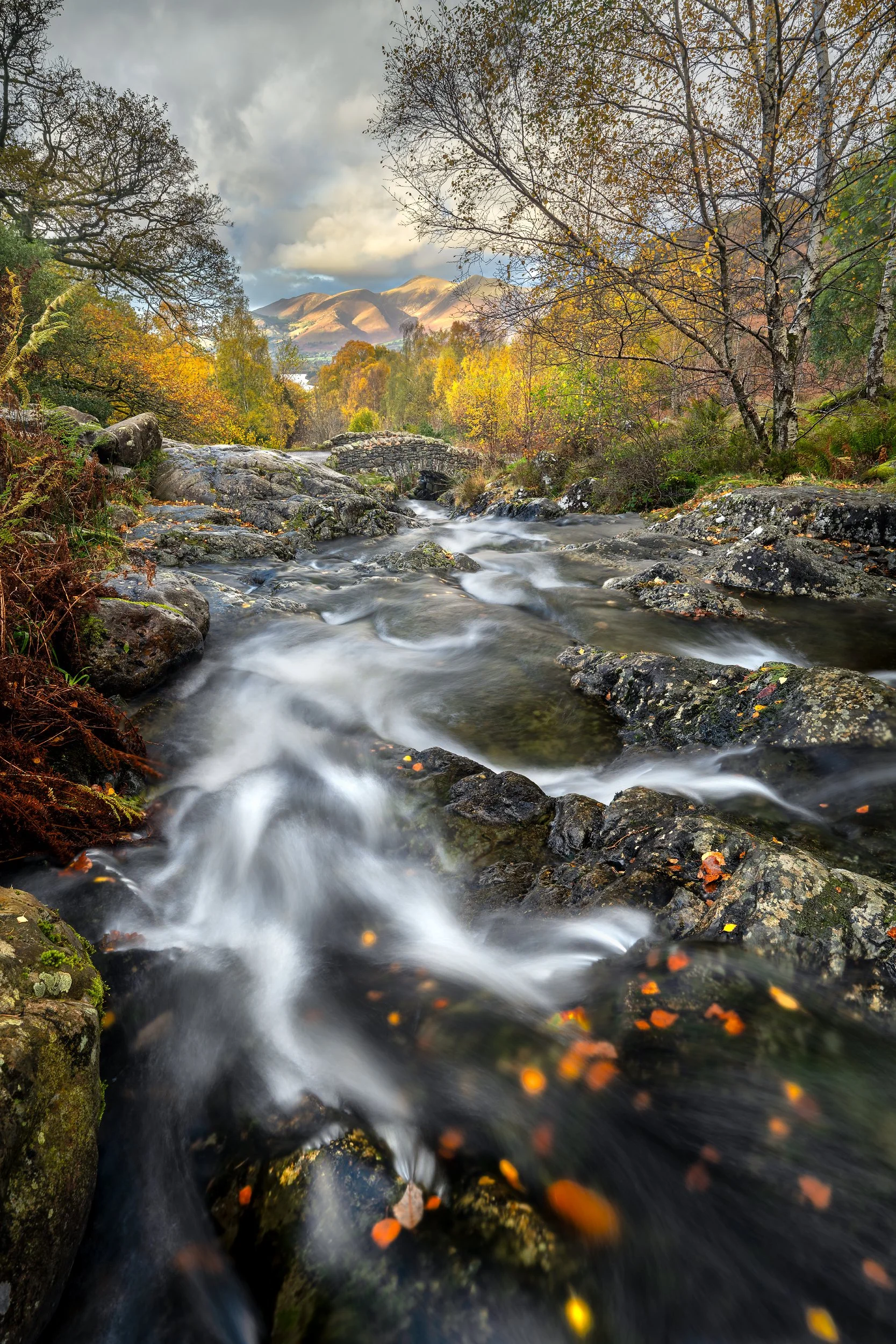 Ashness bridge vertical flow-Edit_Long Edge_1667x2500_U_140.jpg
