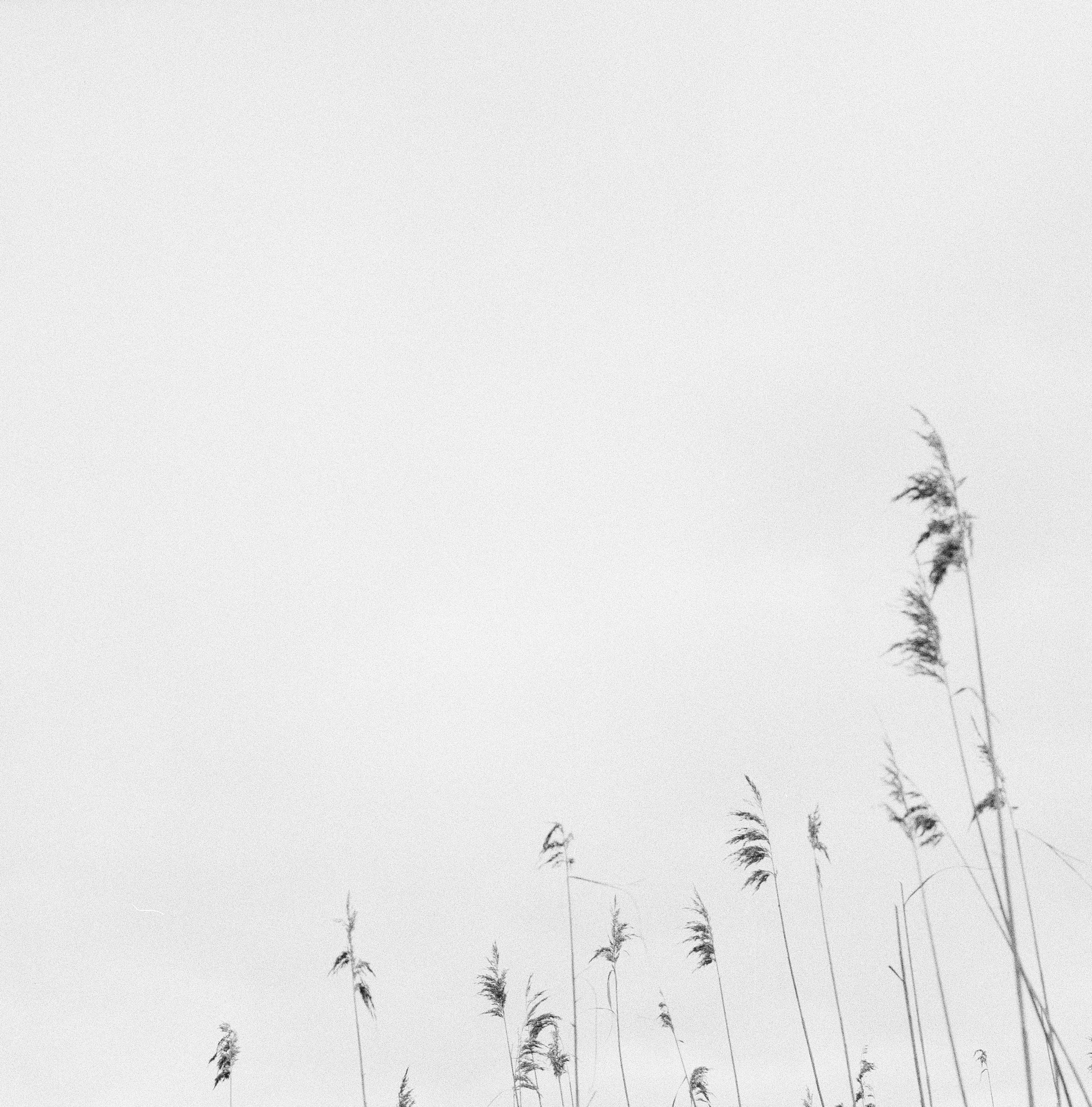 Untitled4.jpg