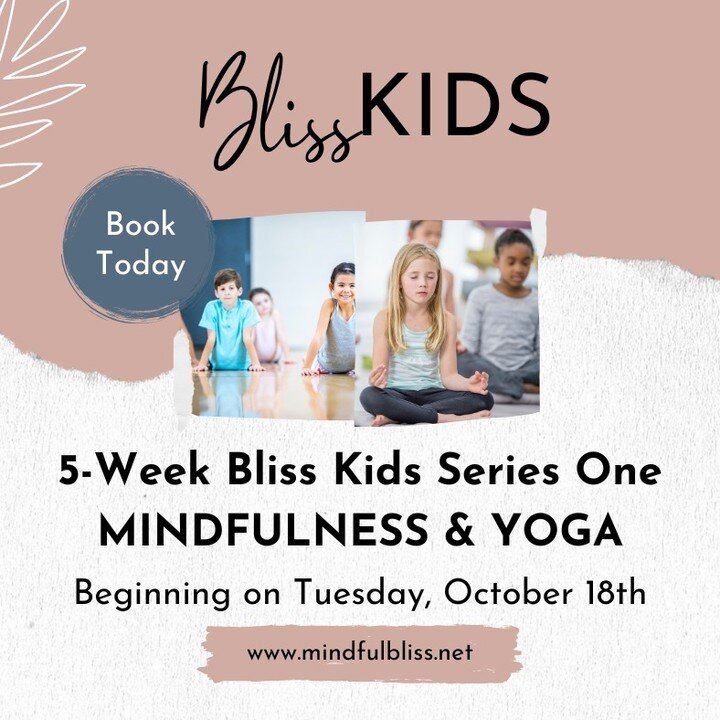 MORE EXCITING NEWS HARVEY...Mindfulness &amp; Yoga for KIDS!! 
This series is going to be offered by the newest member of the mindfulBliss Team - Casey DeMerchant!!! 
This 5-week, once-a-week series allows your child to learn how to tune into their b
