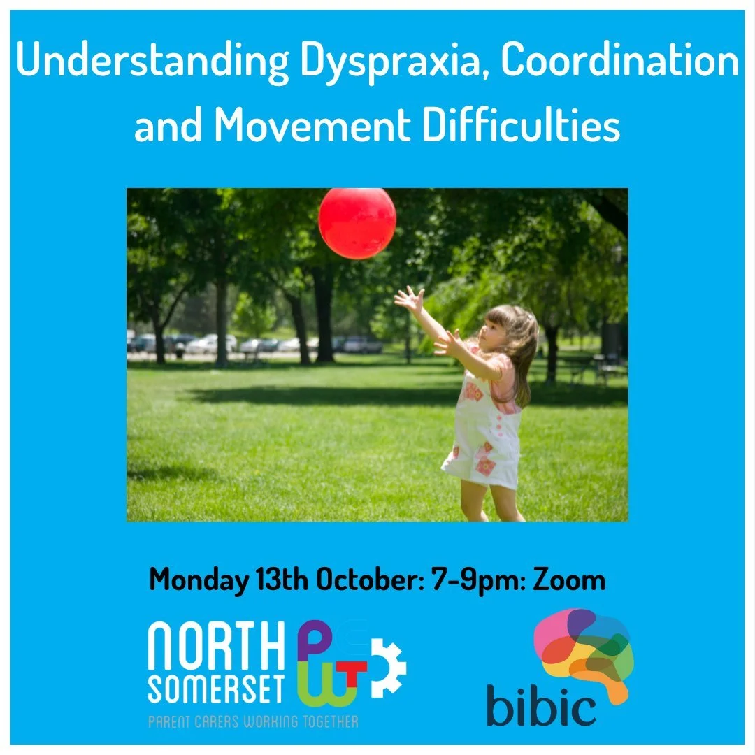 North Somerset Parent Carers would like to invite parent carers, their families and professionals to join us with Bibic for training on Understanding dyspraxia, coordination and movement difficulties.

The training will include the following:

- What