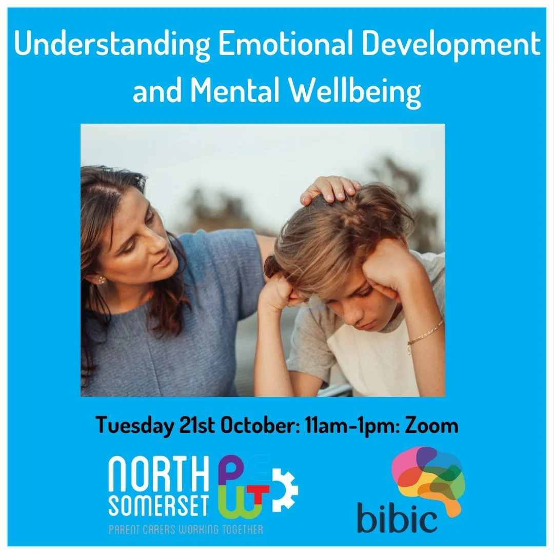 We would like to invite parent carers, their families and professionals to join us with Bibic for training on Understanding emotional development and mental wellbeing.

We expect this to be an extremely popular training, so please do not hesitate on 