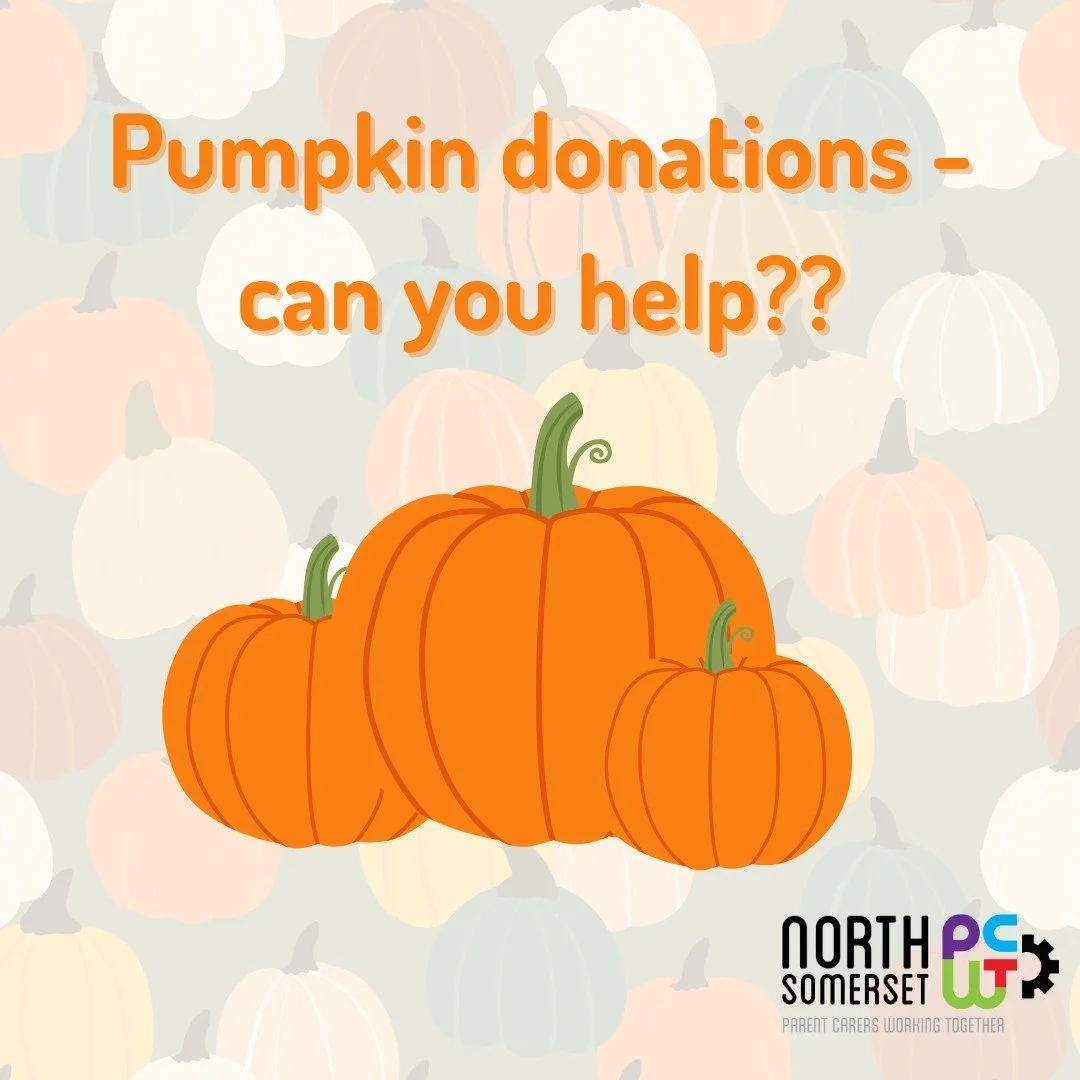 Calling all local supermarkets, farms and general pumpkin growers! 📣🎃

We are reaching out for any donations of up to 60 pumpkins for our stay and play sessions this Halloween - this will ensure each and every young person will have their very own 