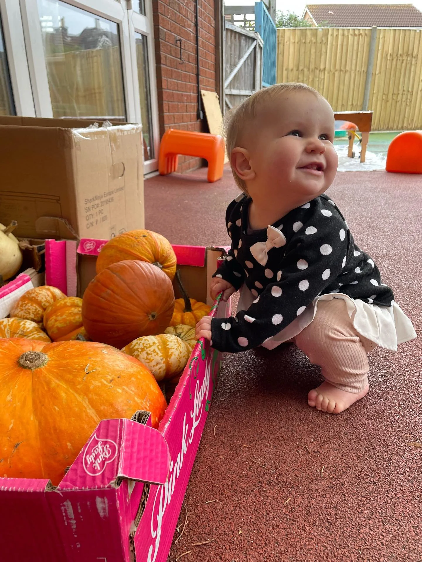 👻Happy Halloween 🎃 

Here are a few snaps from our Halloween themed stay and plays this half term, fantastic outfits, and fab creations made by the children! Thanks again to all who donated pumpkins, and a big thank you to @westofenglandmusicandart