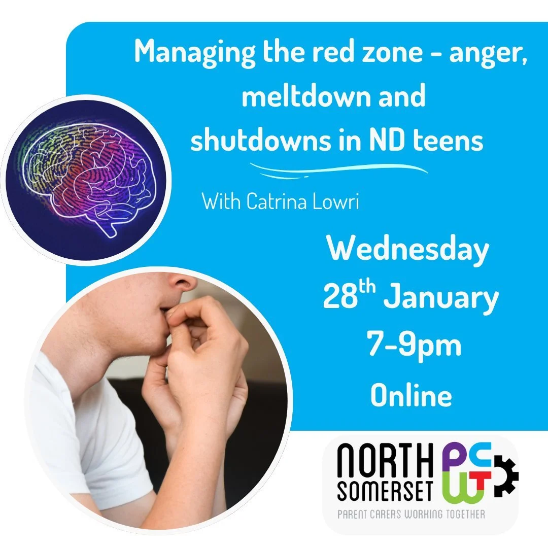 Does you young person struggle with anger, meltdown and shutdowns? If you find yourself searching for answers - we are here to help!
NSPCWT would like to invite parent carers to a fully funded training session with Catrina Lowri from Neuroteachers fo