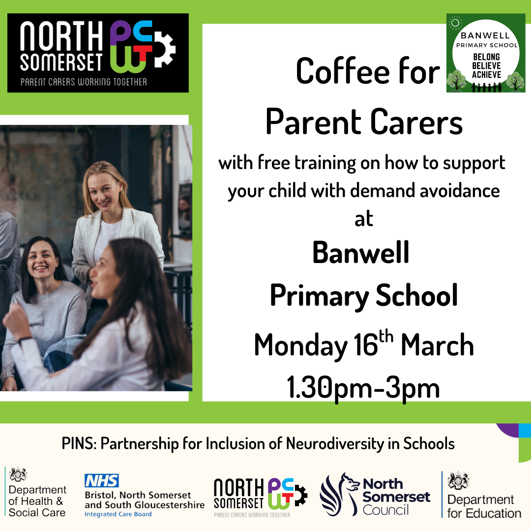 PINS Information Session at Banwell Primary