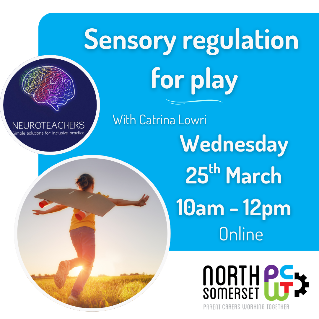 Sensory Regulation for Play