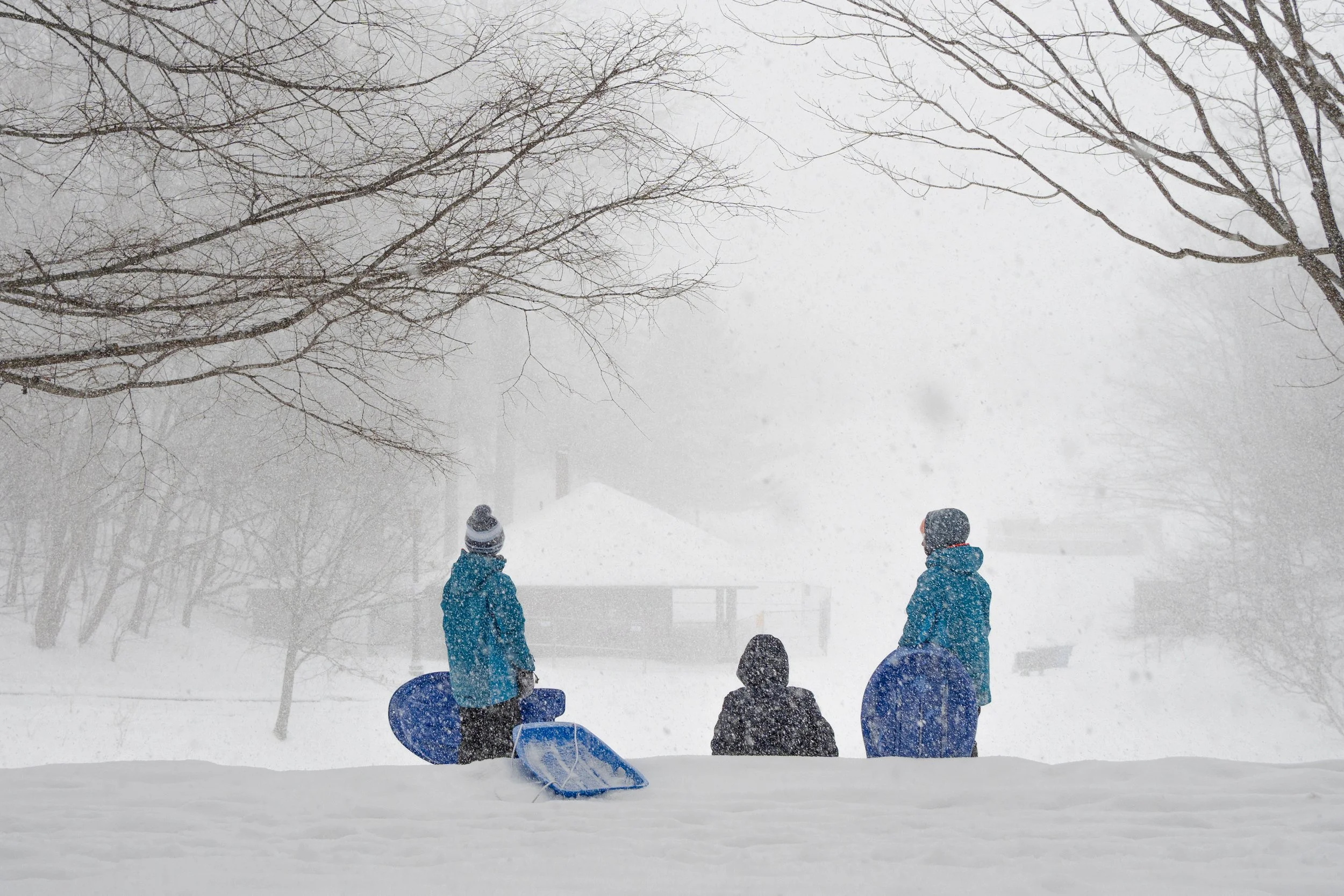 snowstorm 2026-61.jpg