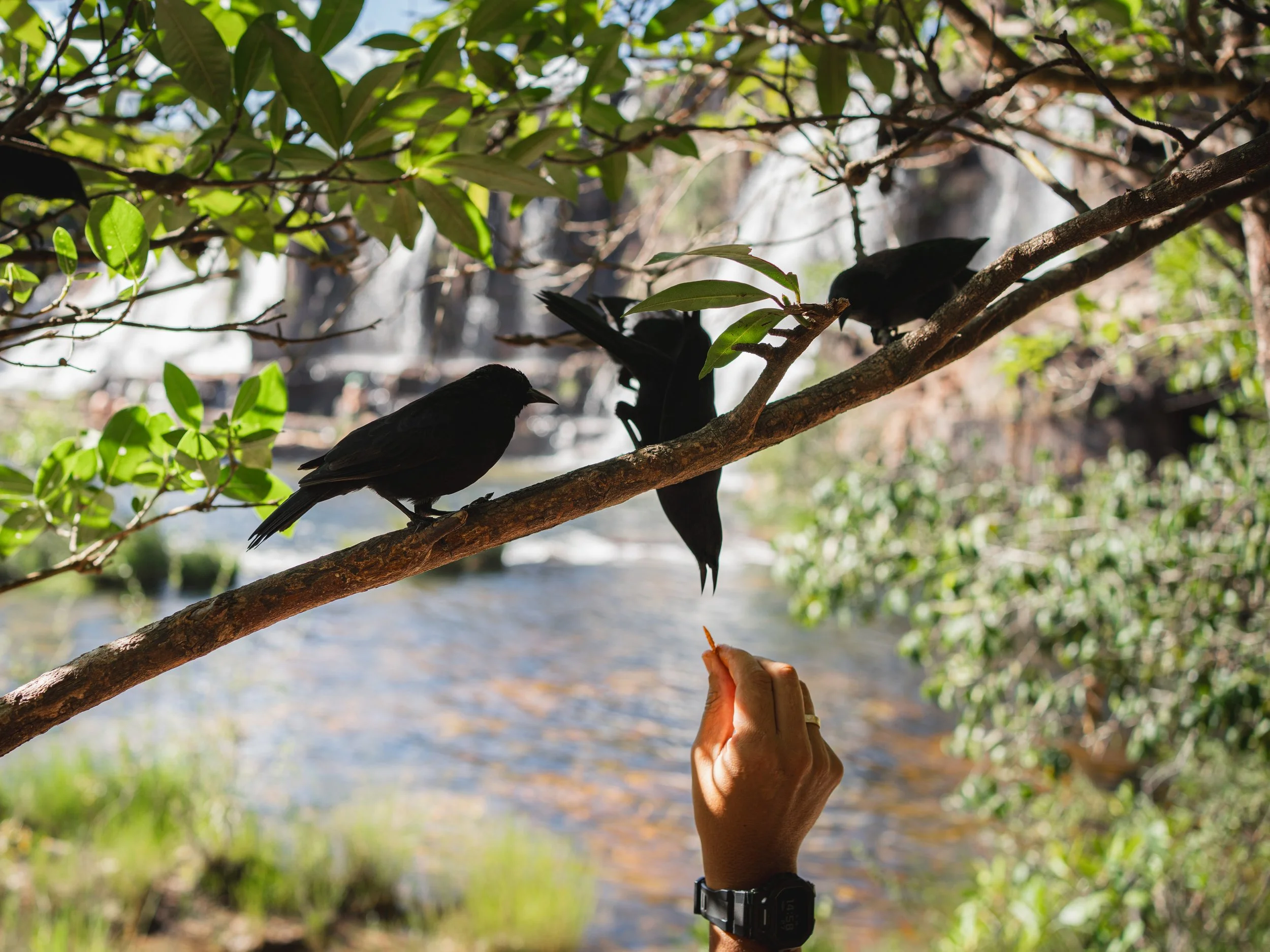Chapada 2025-71.jpg