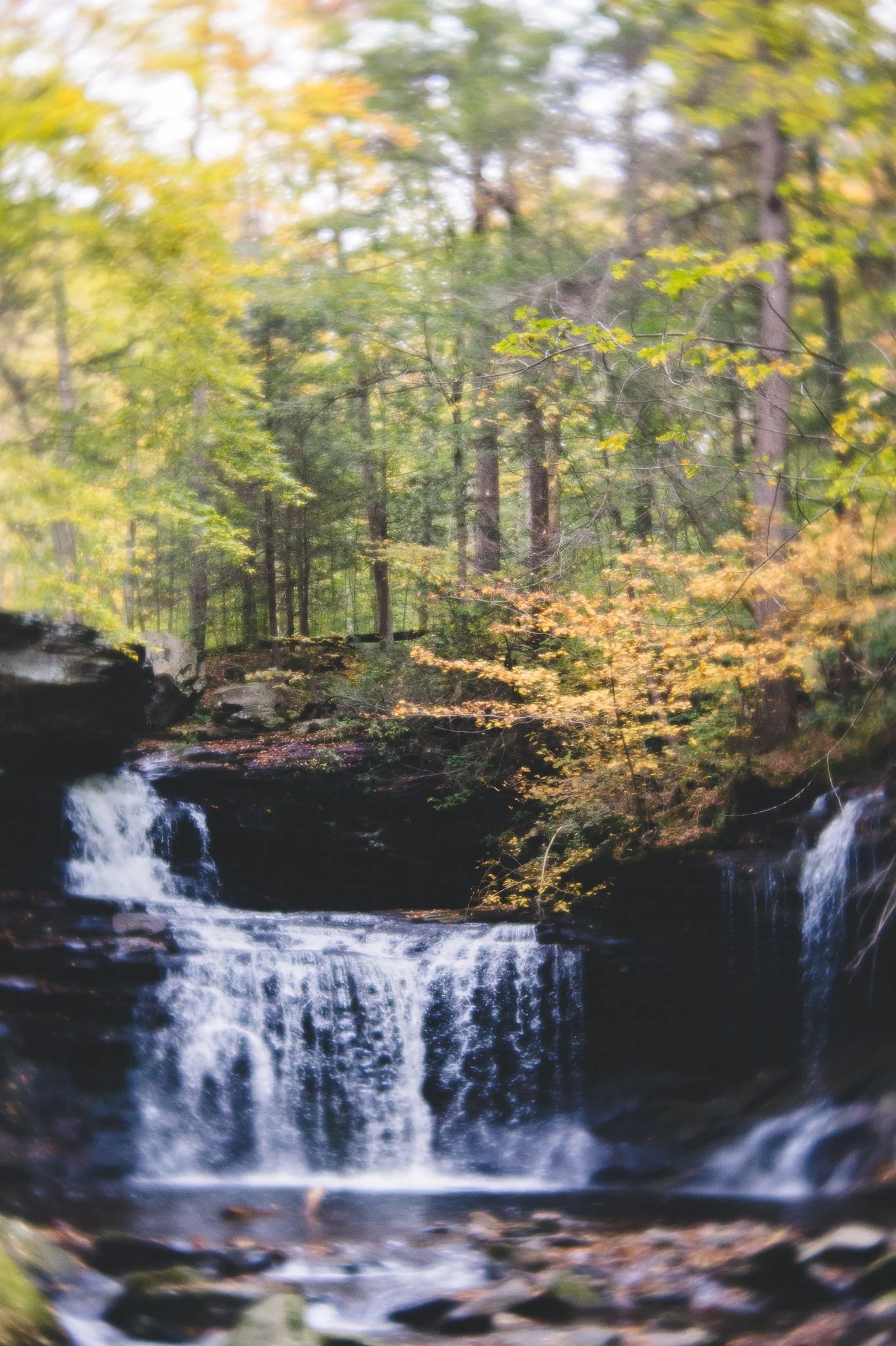 Blurred image of a small waterfall in a forest with trees showing fall colors.