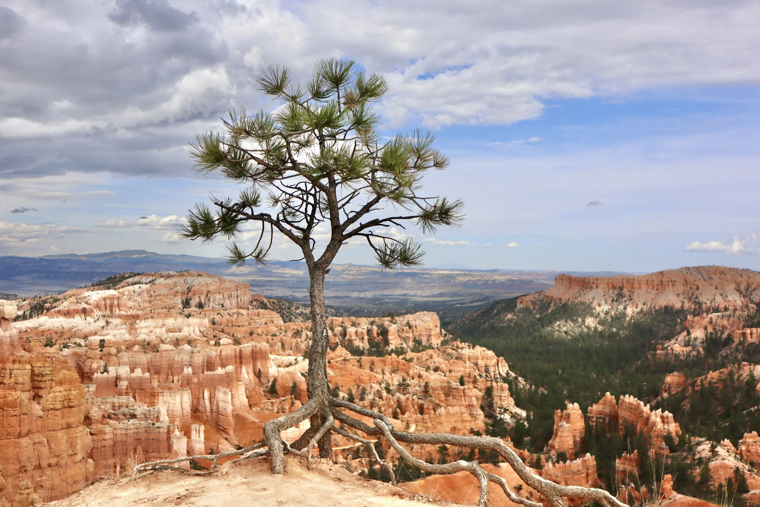 Bryce Canyon National Park