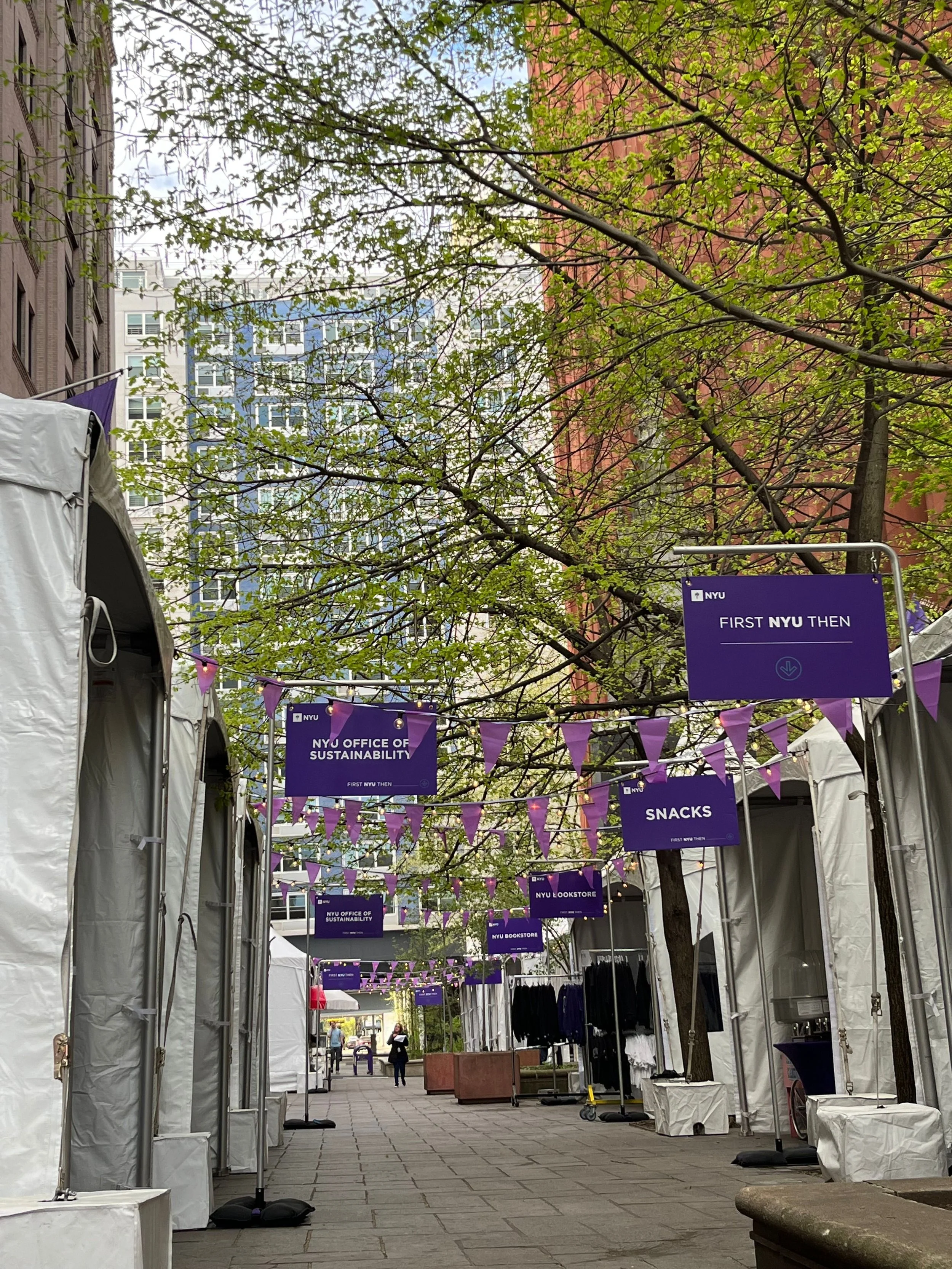 NYU 2.jpg