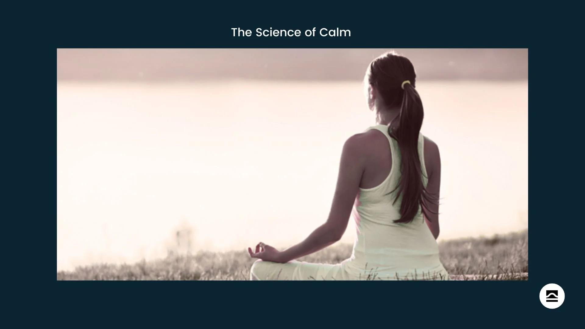 The Science of Calm (SOLD OUT)