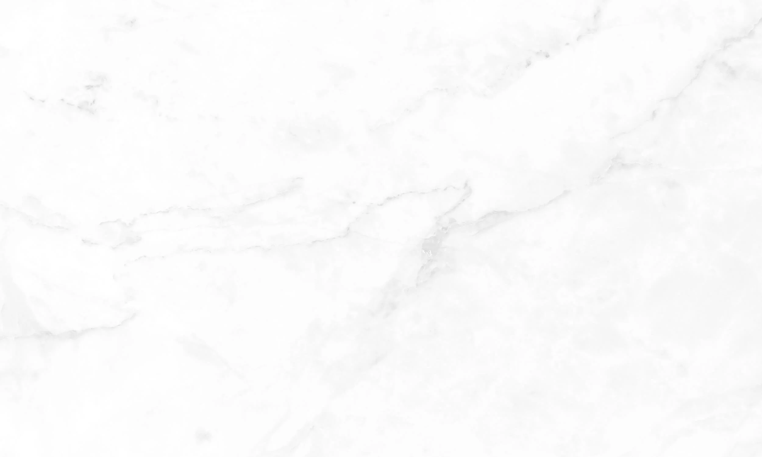 white marble background.jpg