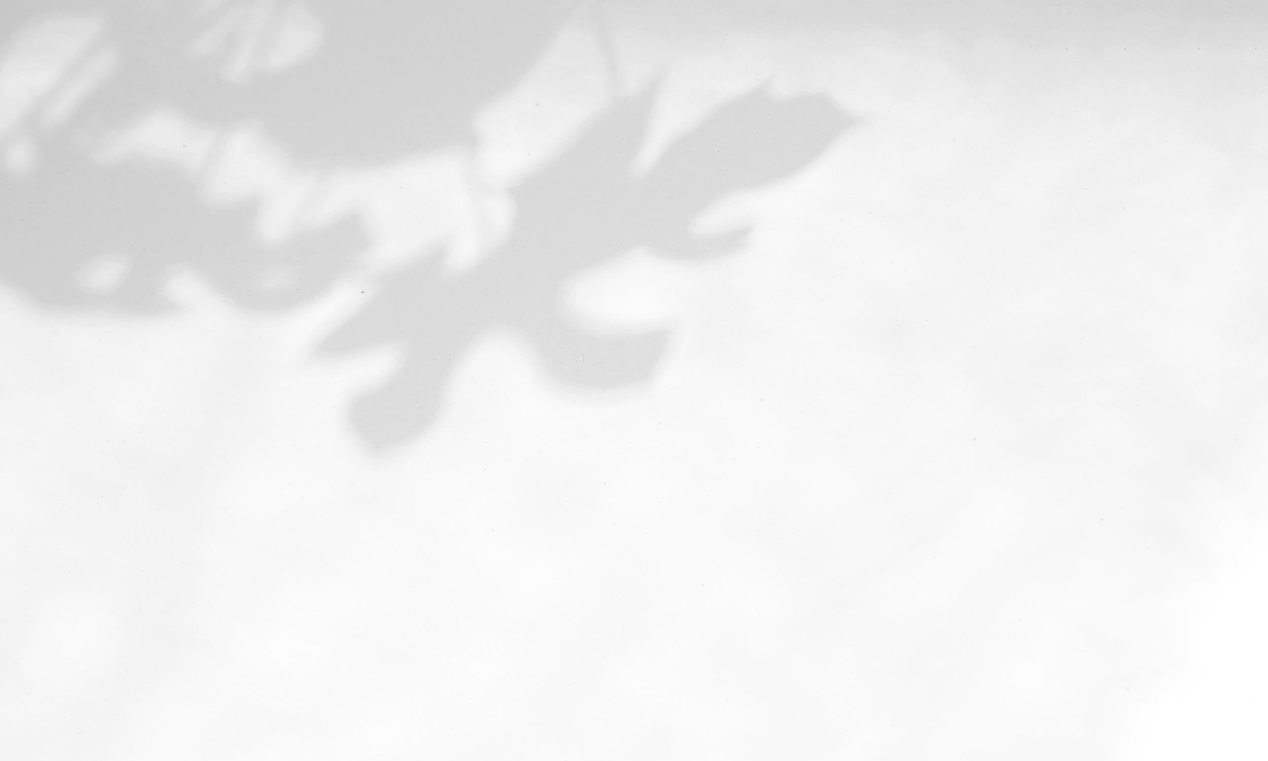 light shadow texture.jpg