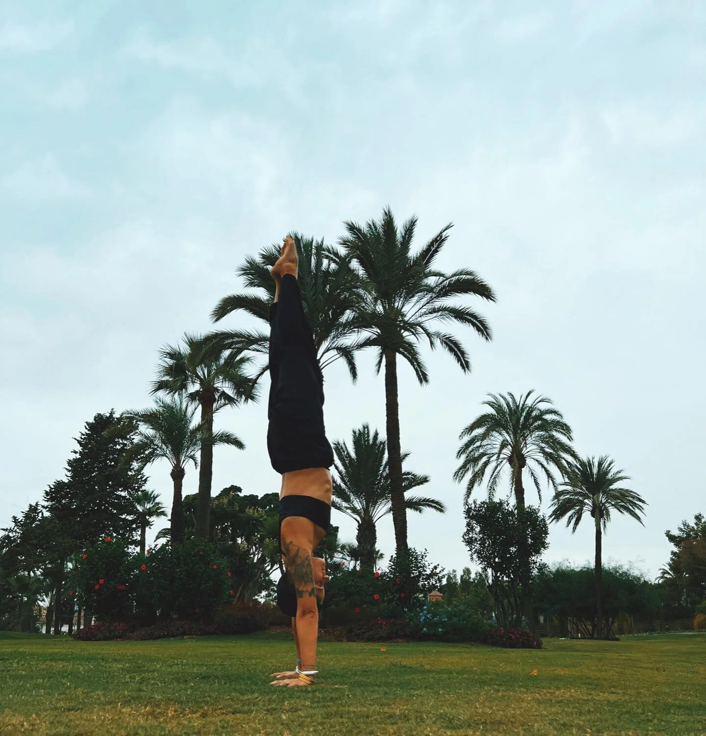 Babar aka @audreylombard m&rsquo;a dit rentre la t&ecirc;te. Du coup j&rsquo;ai rentr&eacute; ma t&ecirc;te ou quand je me prends pour un palmier au @clubmedmarbella 🌴 

Miss my team @audreylombard @tiphaine_neveu @carofromparisbxl @emilieduchene @o