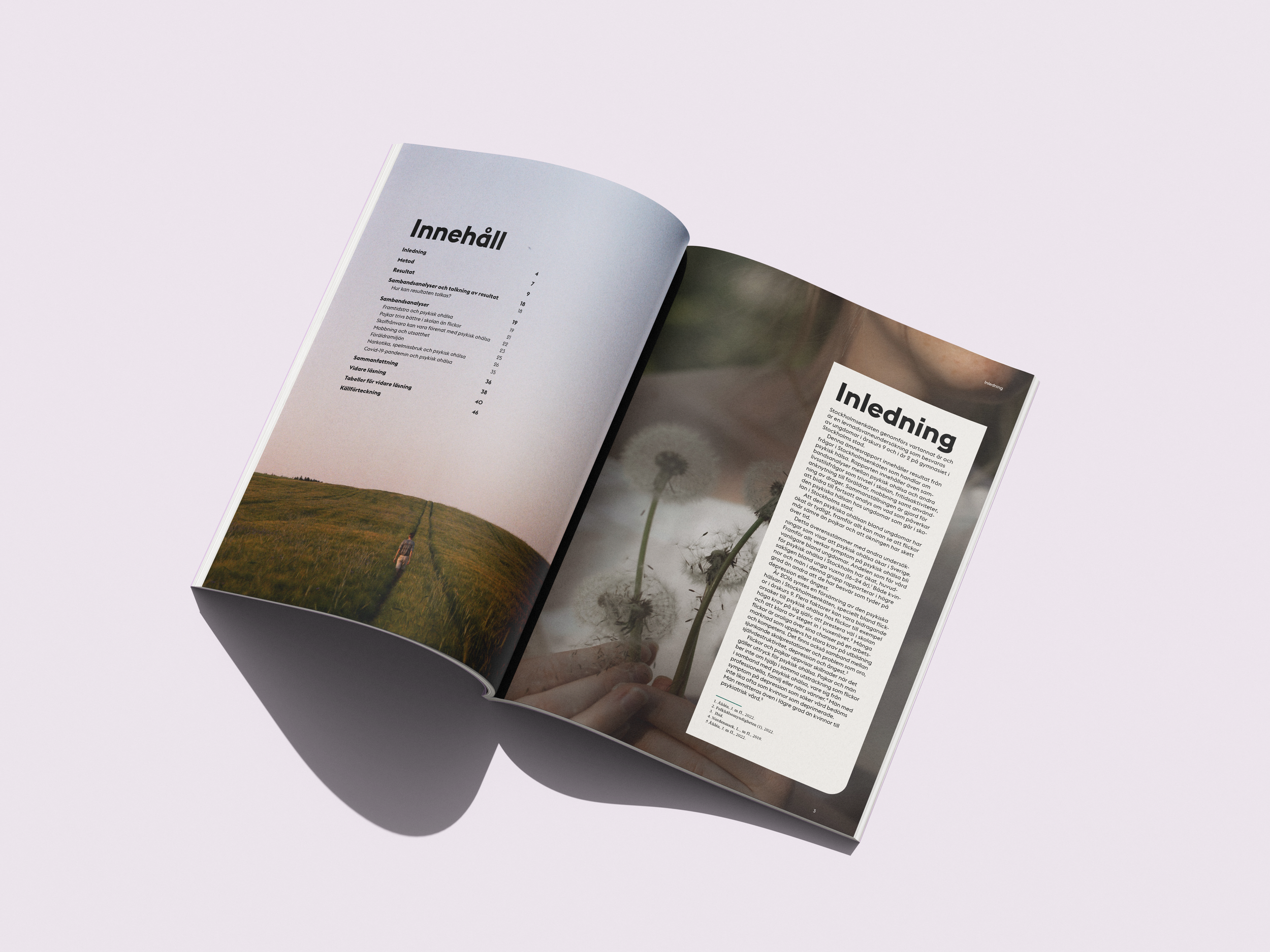 STOCKHOLMS STAD / Rapport, art direction, original