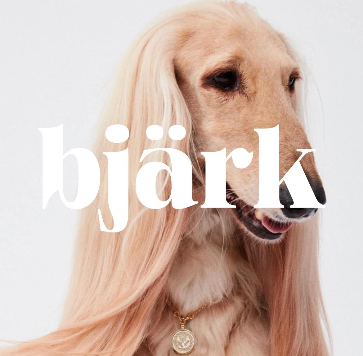 BJÄRK / Grafisk profil & Logo