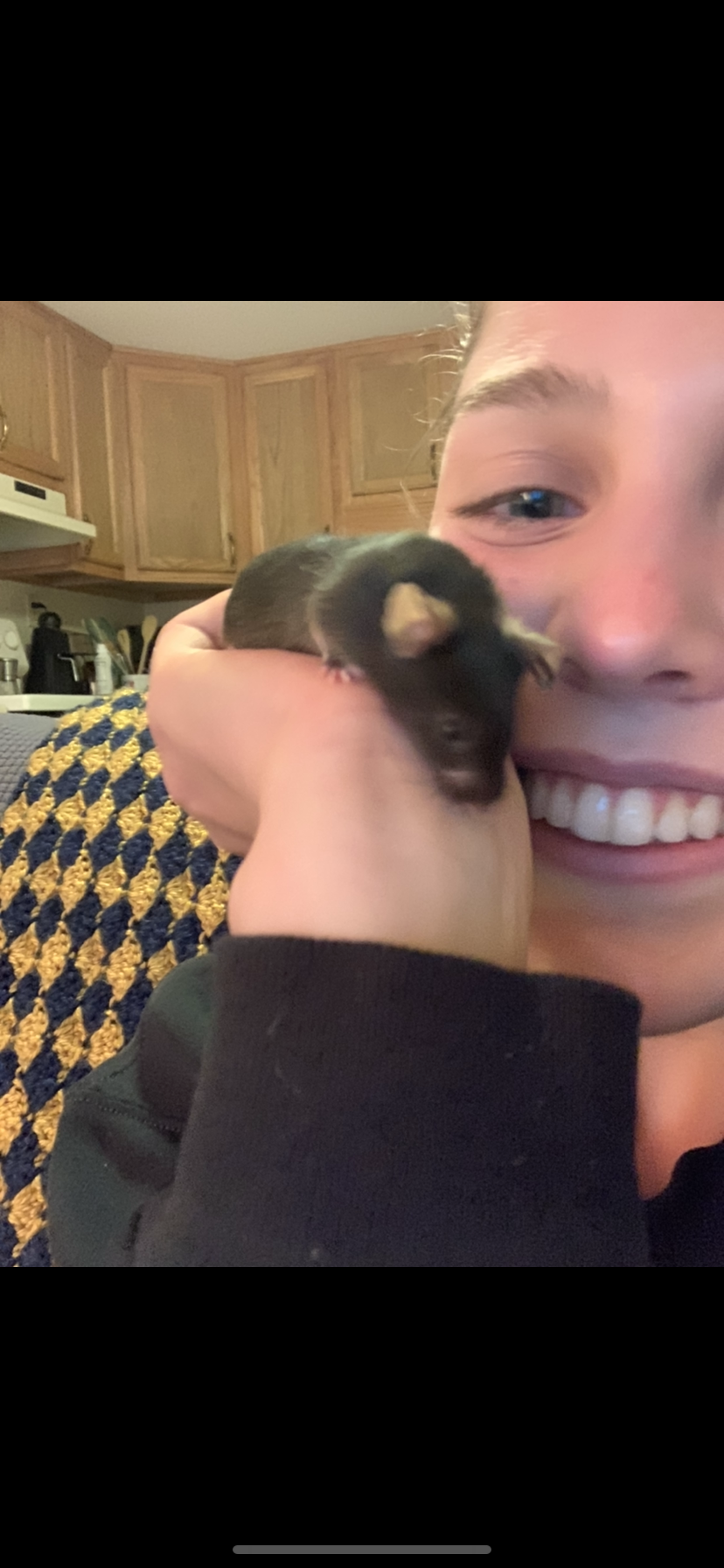 Despy Lab Website.PNG