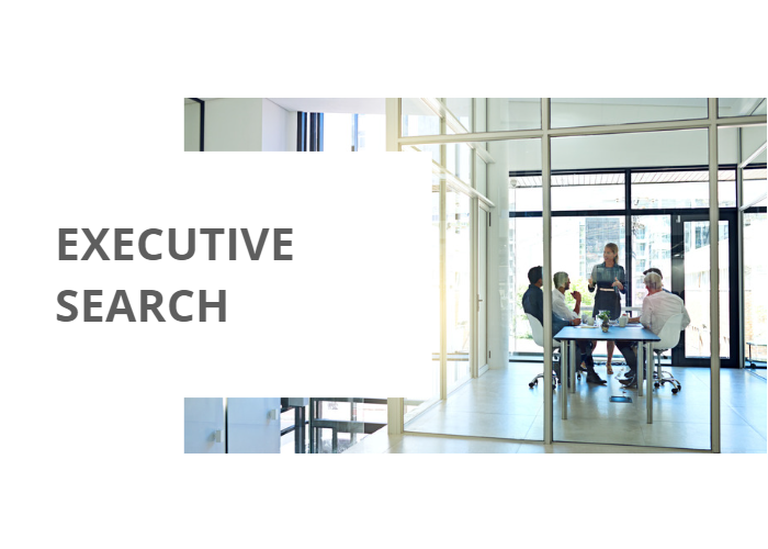 Executive Search for Marketing in Technology