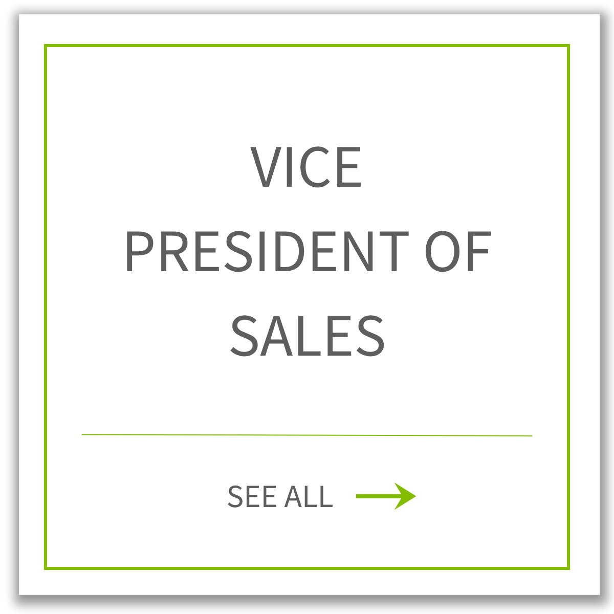 Vice President of Sales