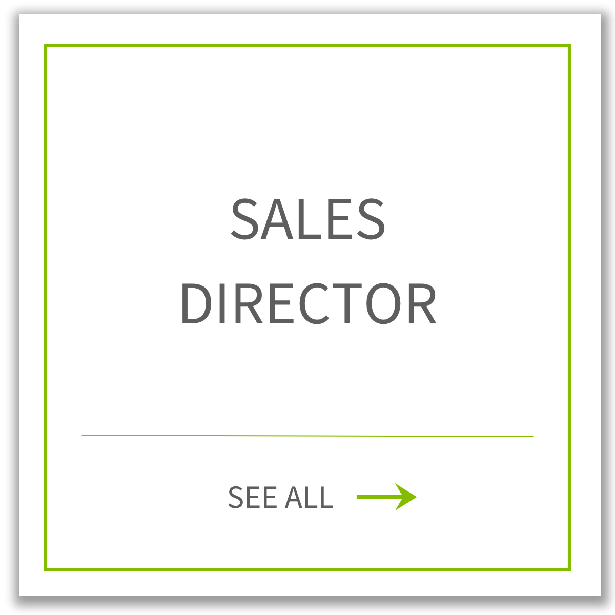 Sales Director