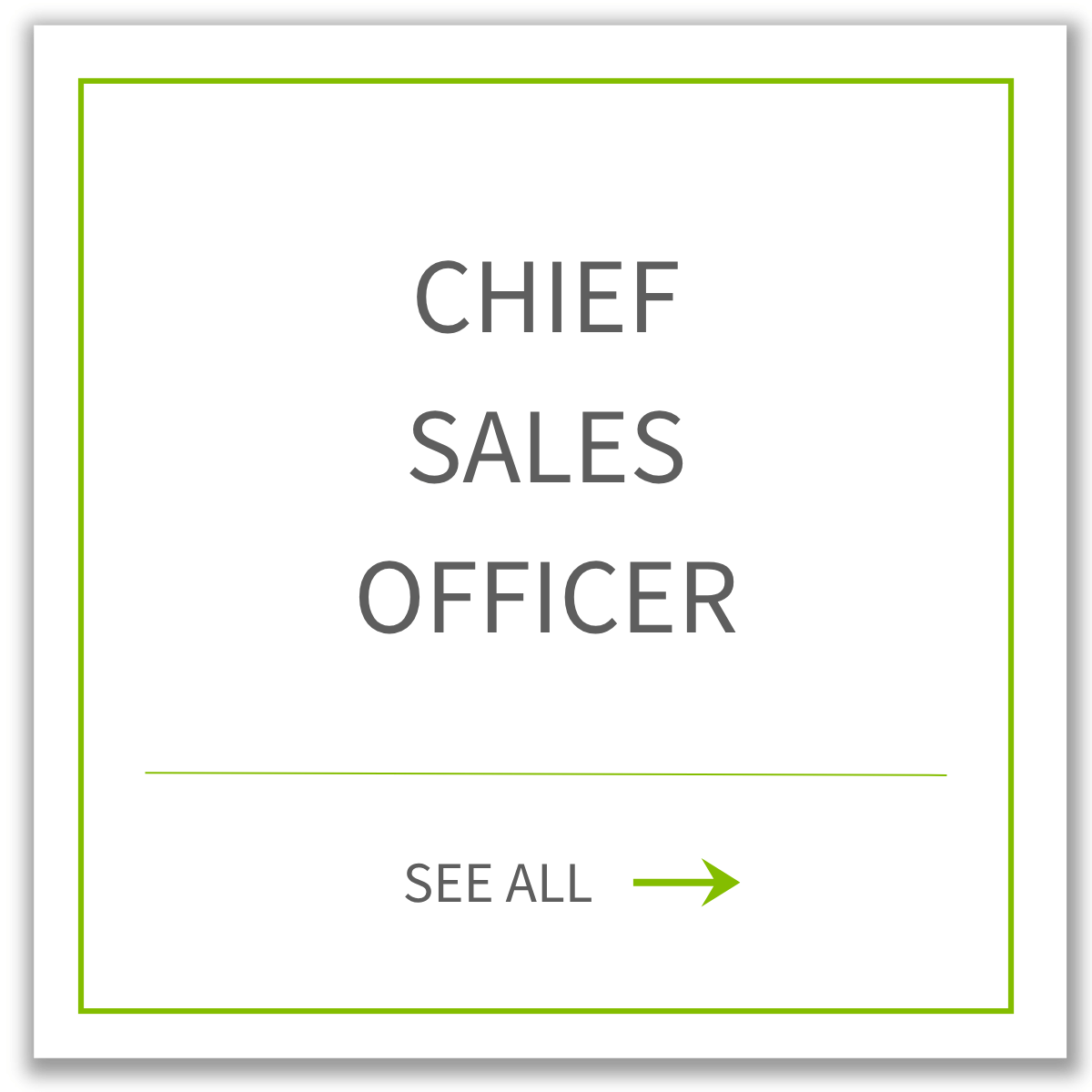 B2B Chief Sales Officer