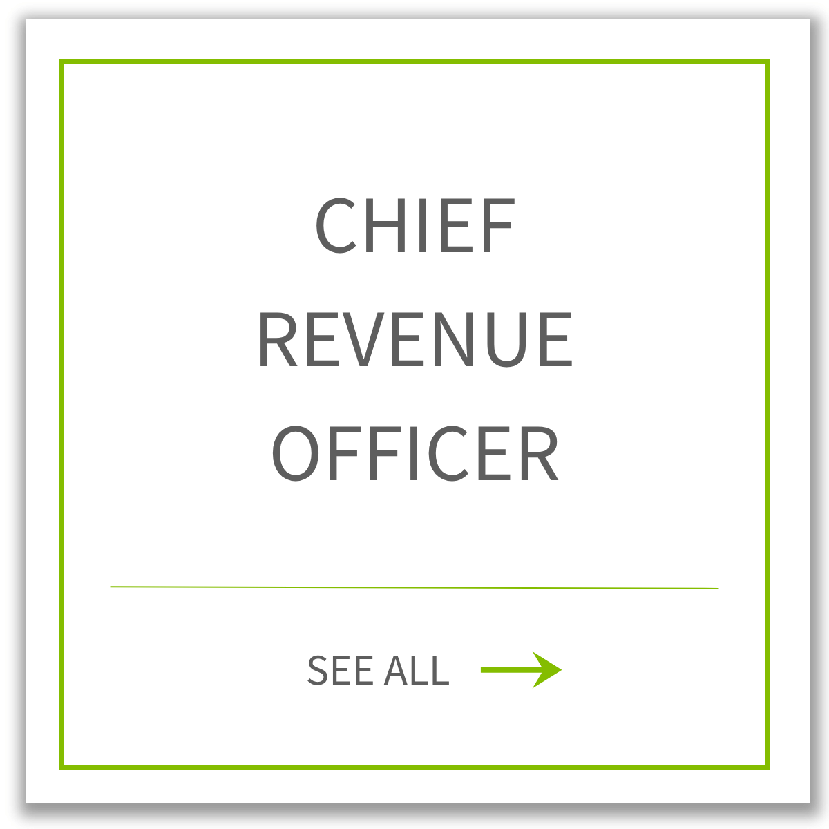 B2B Chief Revenue Officer