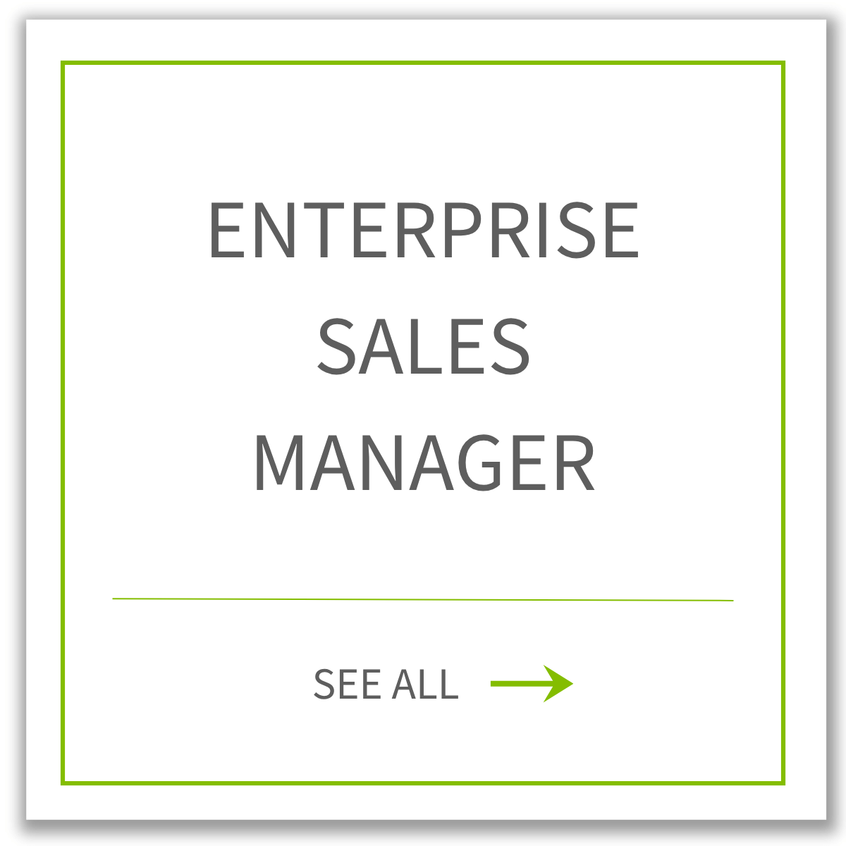 Enterprise Sales Manager