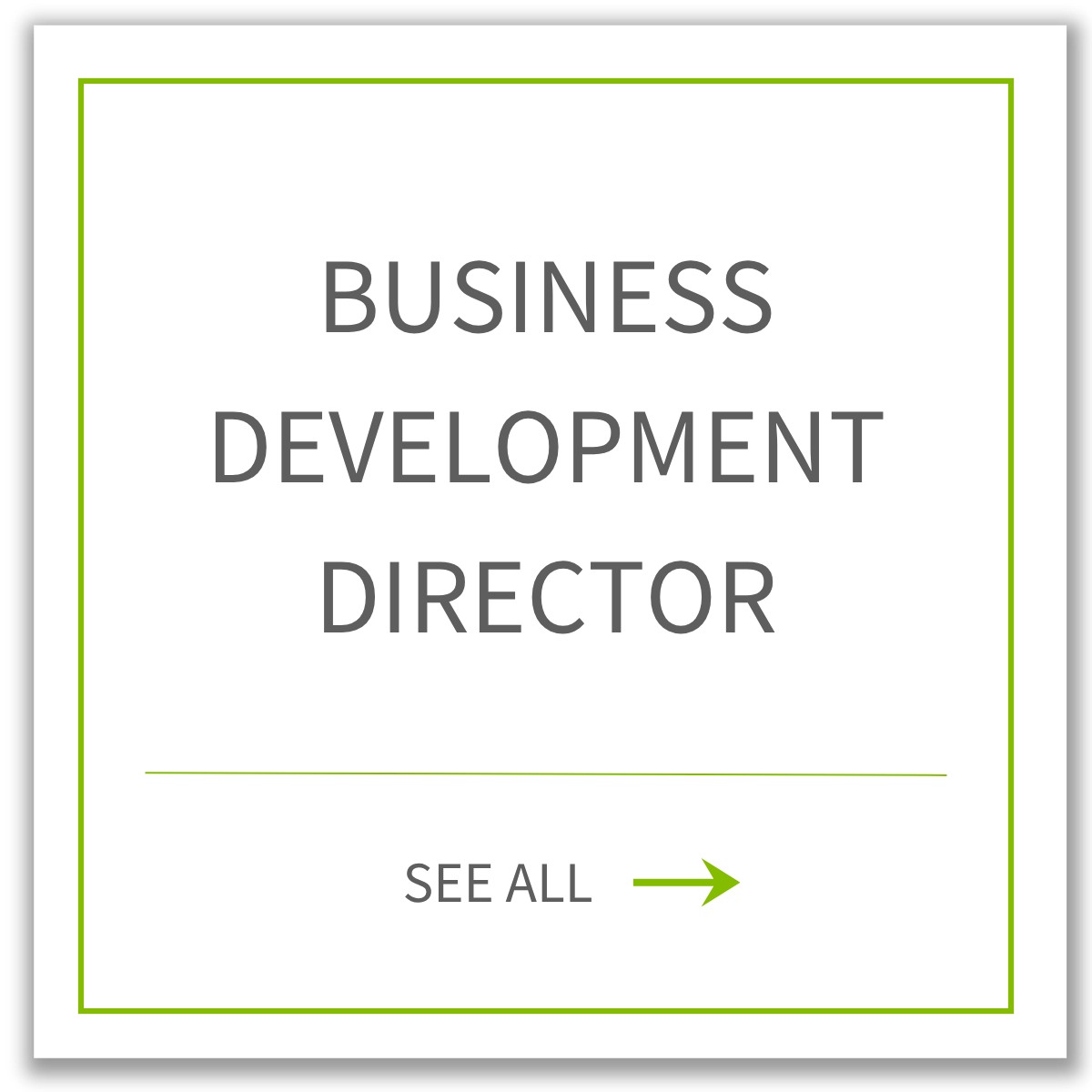 Business Development Director
