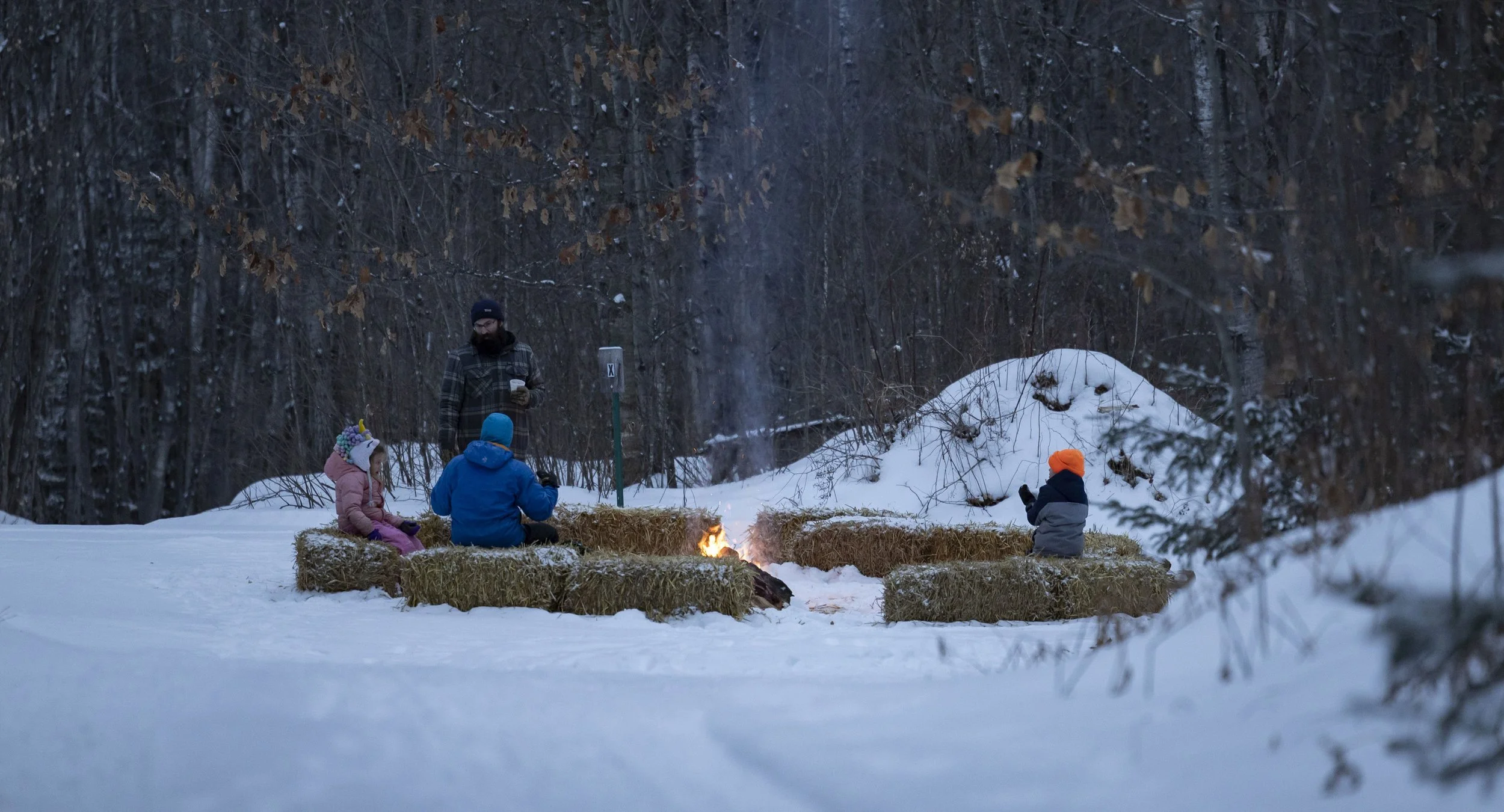 Snowshoe Celebration 2026