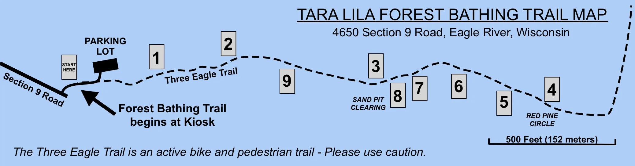 Forest Bathing Trail — TARA LILA