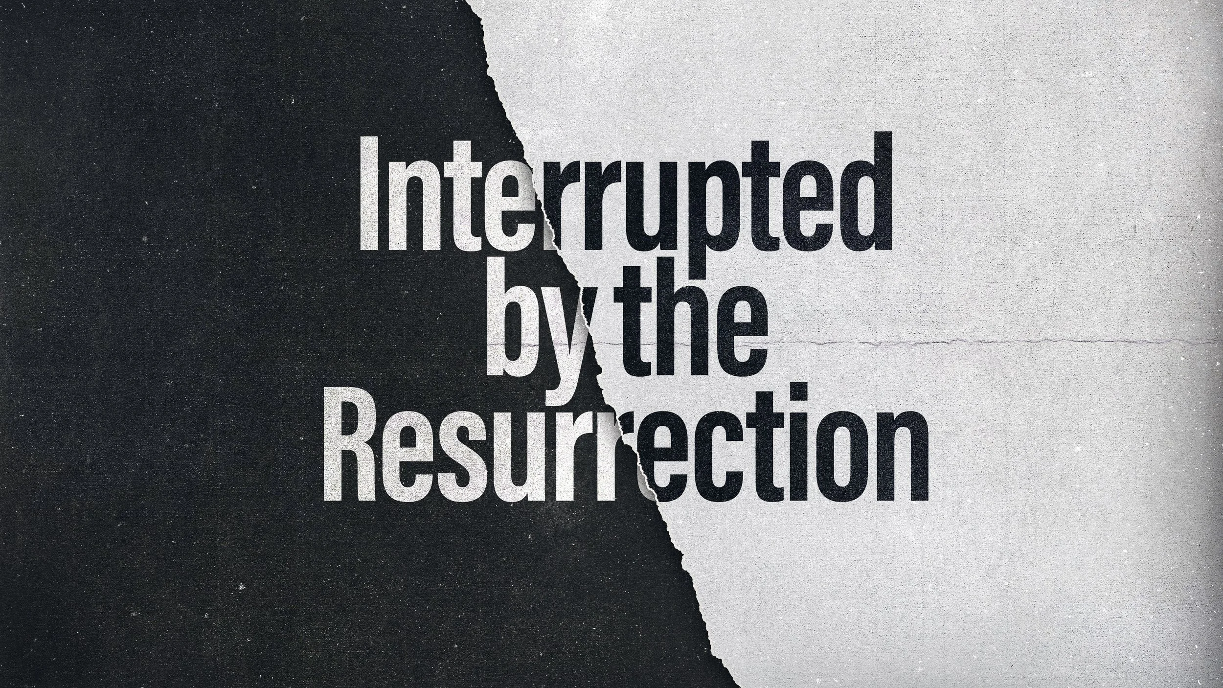 Interrupted by the Resurrection- Week 3