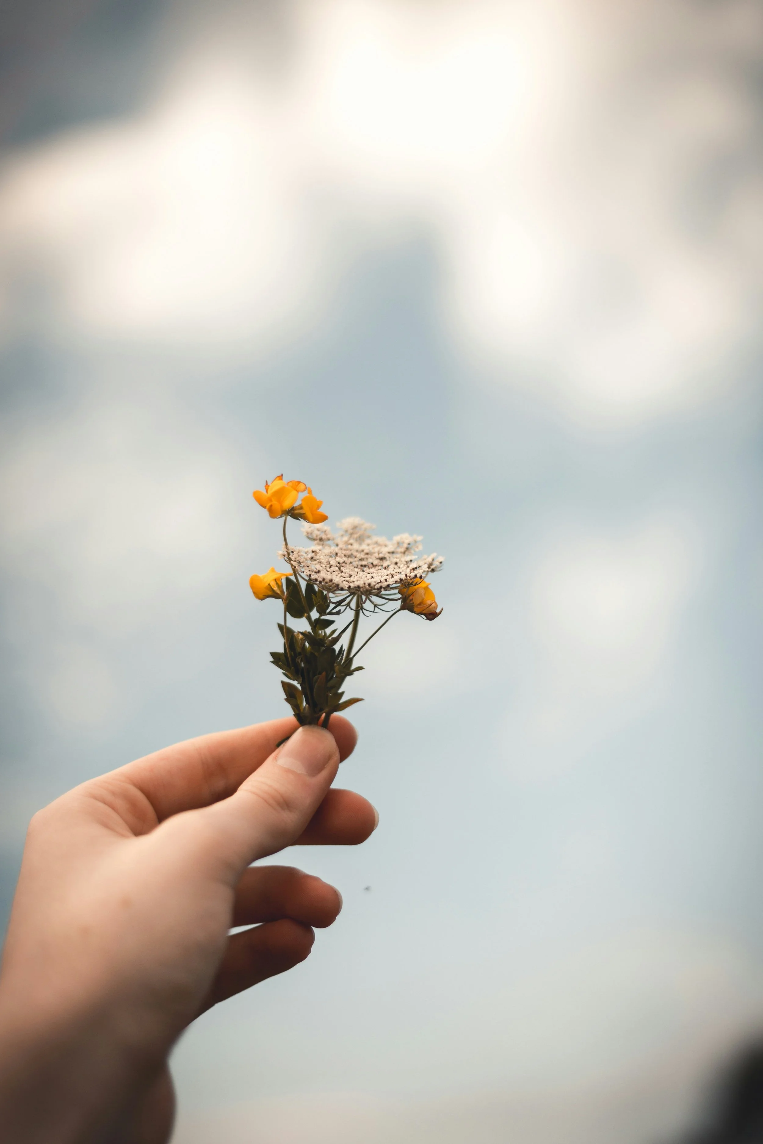 1 Hour of Reiki for Regulation