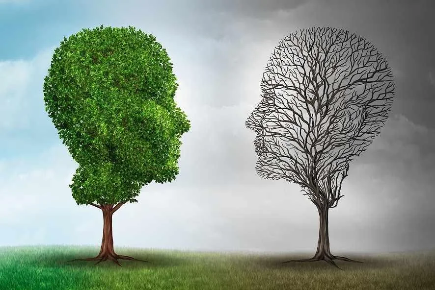 Navigating the Internal Voices of Eating Disorders