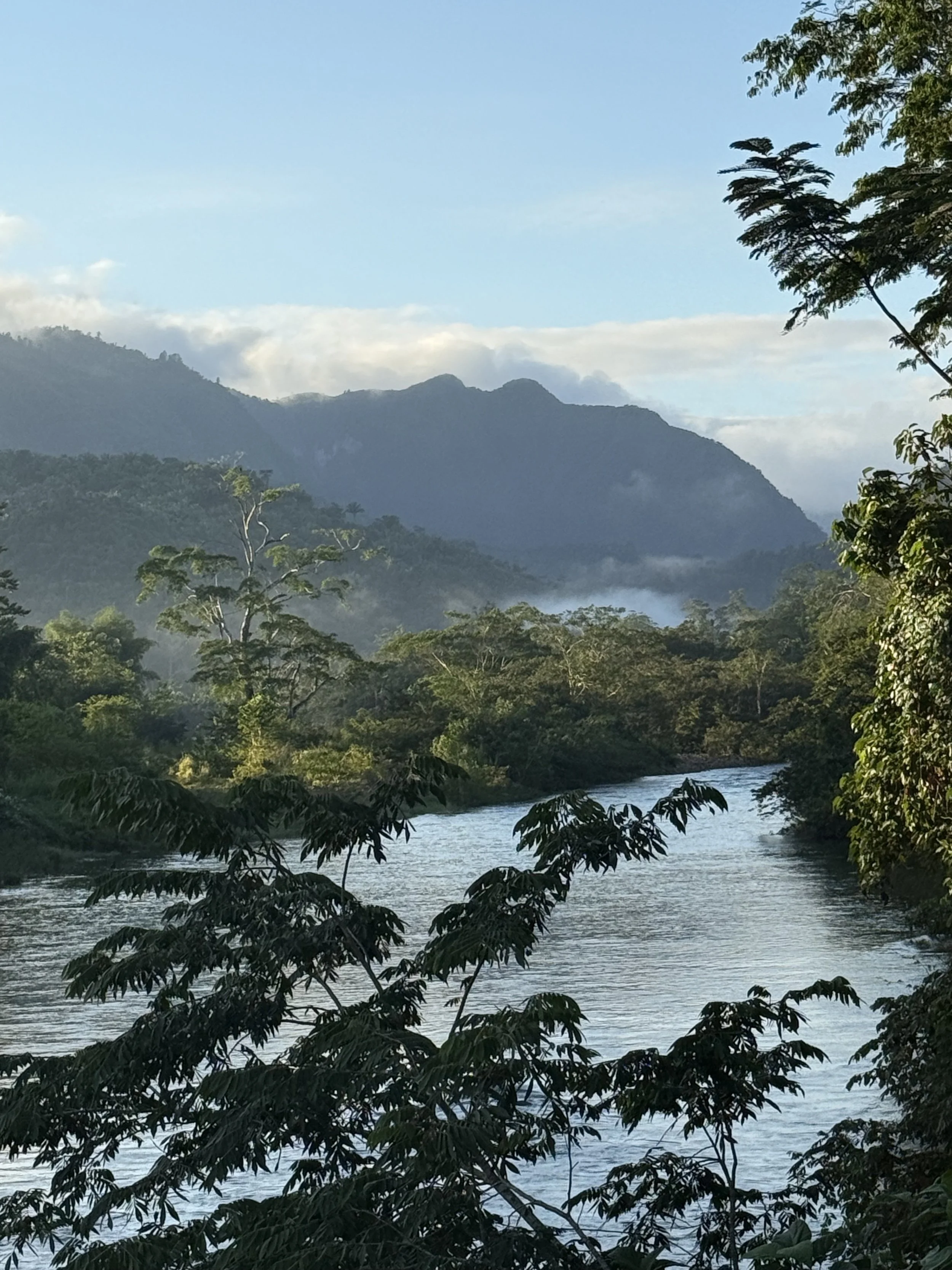 The Time is Now. 2026. 